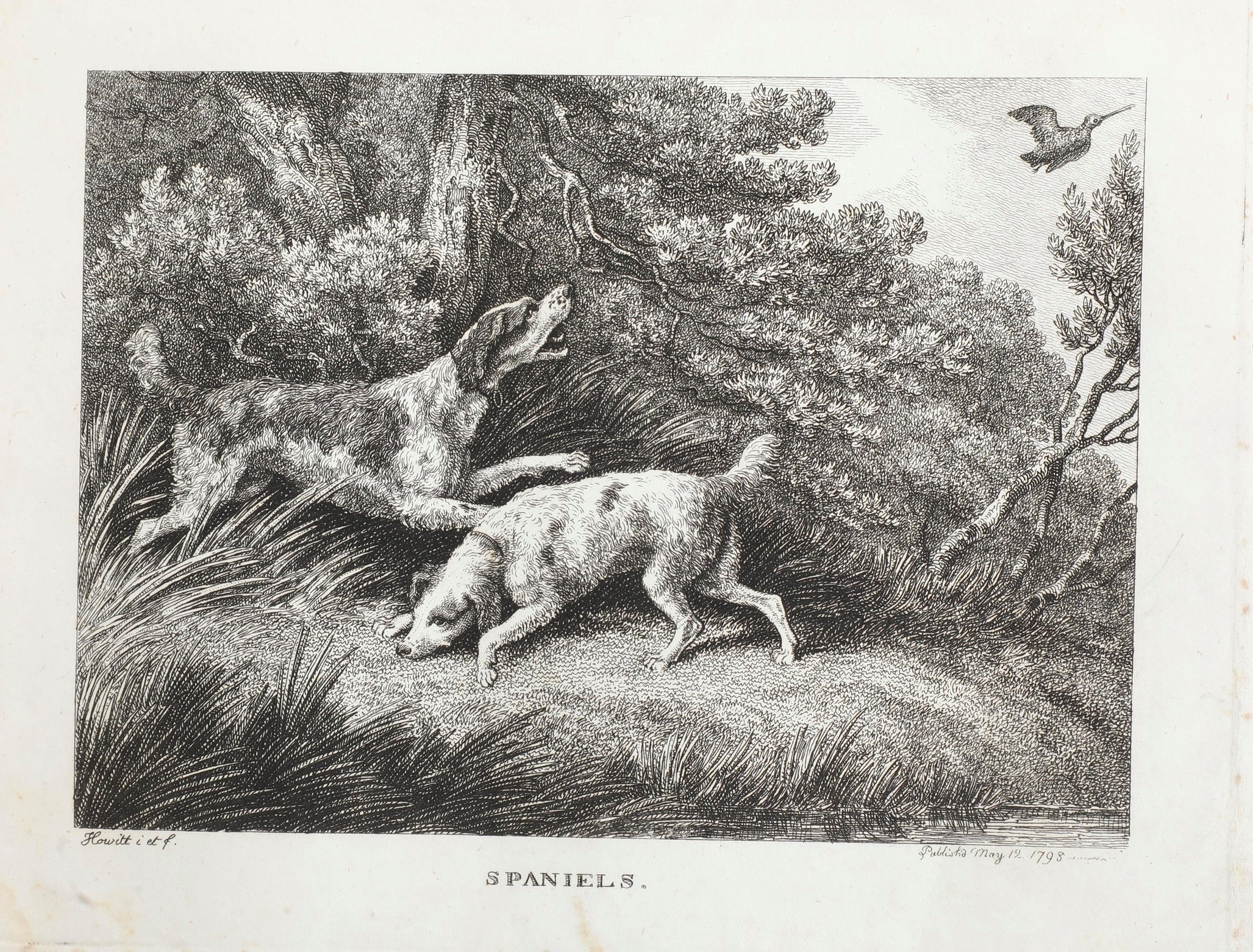 Howitt William Samuel The British Sportsman... Londra, Gossnel, 1800