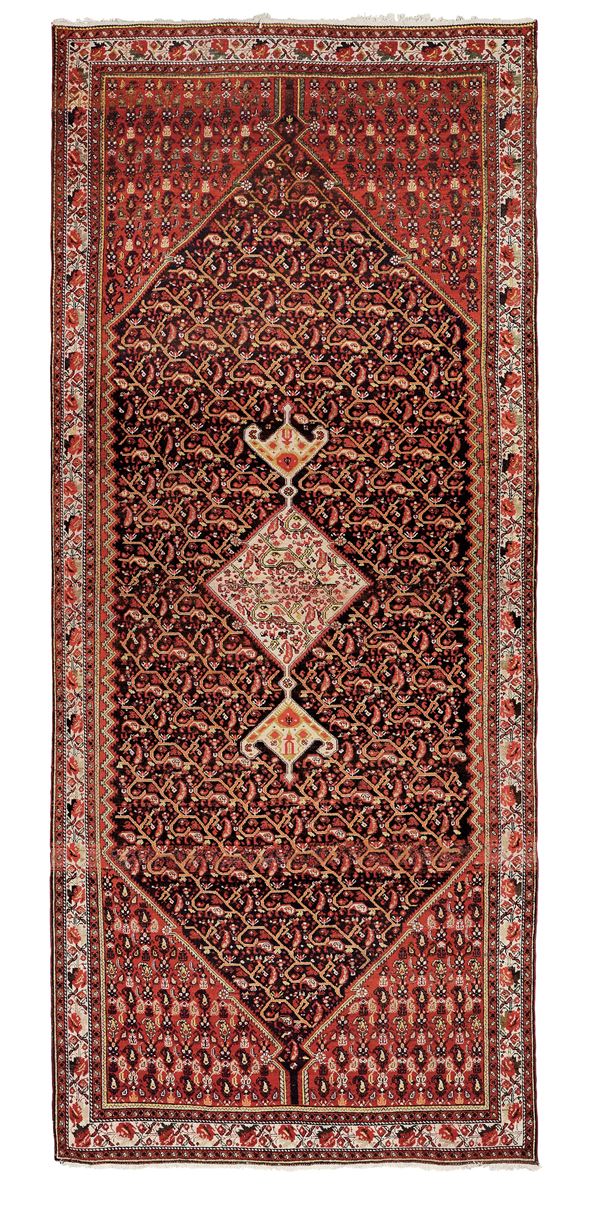 Kelley Malayer, Persia inizio XX secolo