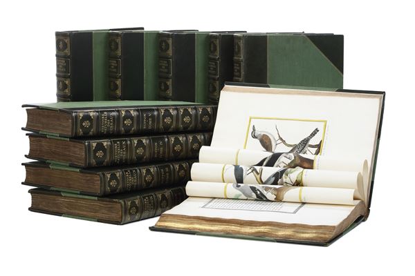 Leclerc Georges Louis Marie , Comte de Buffon (1707-1788). Histoire Naturelle Des Oiseaux Parigi, De  [..]