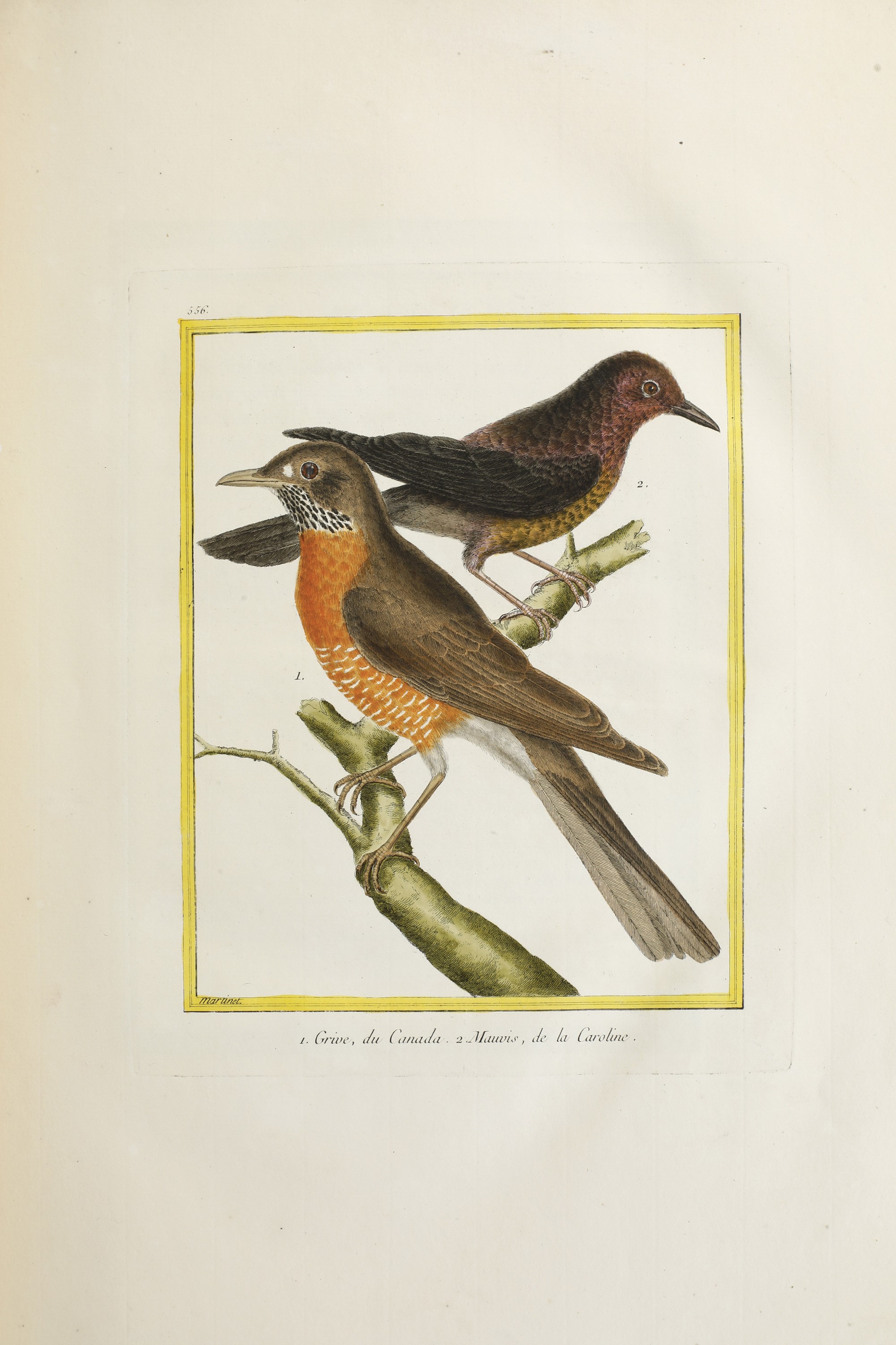 Leclerc Georges Louis Marie , Comte De Buffon (1707-1788). Histoire Naturelle Des Oiseauxparigi, ...
