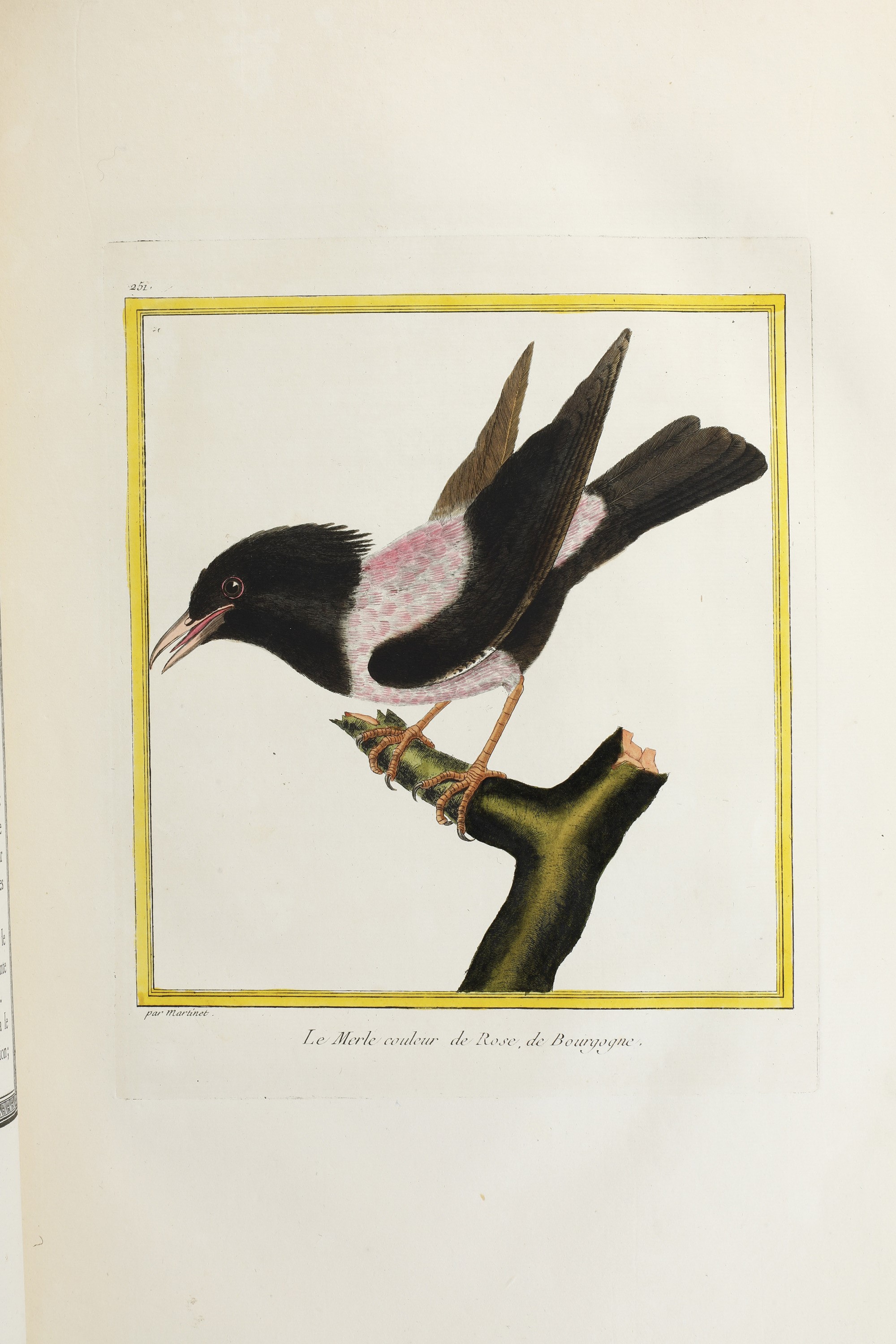 Leclerc Georges Louis Marie , Comte De Buffon (1707-1788). Histoire Naturelle Des Oiseauxparigi, ...