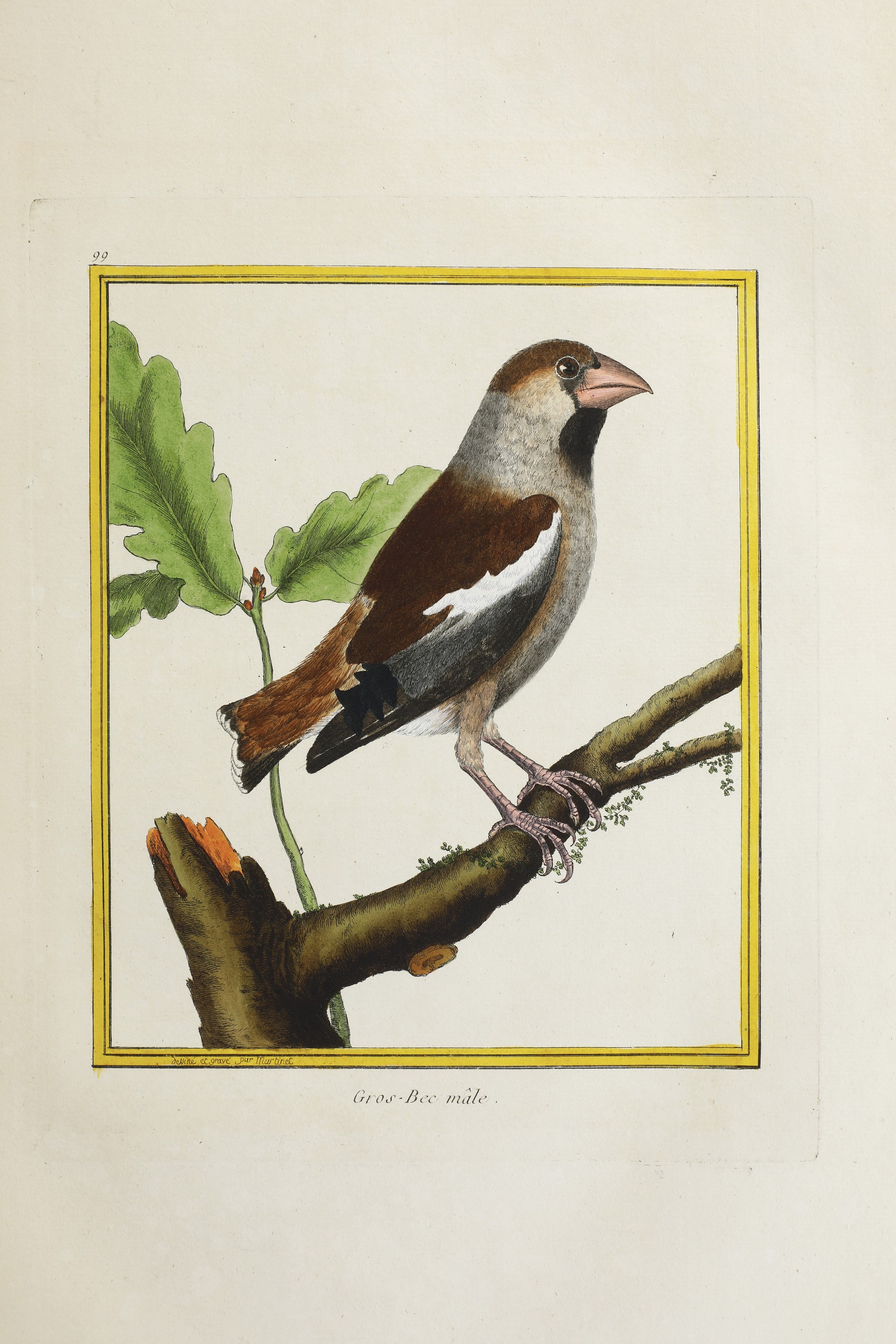 Leclerc Georges Louis Marie , Comte De Buffon (1707-1788). Histoire Naturelle Des Oiseauxparigi, ...