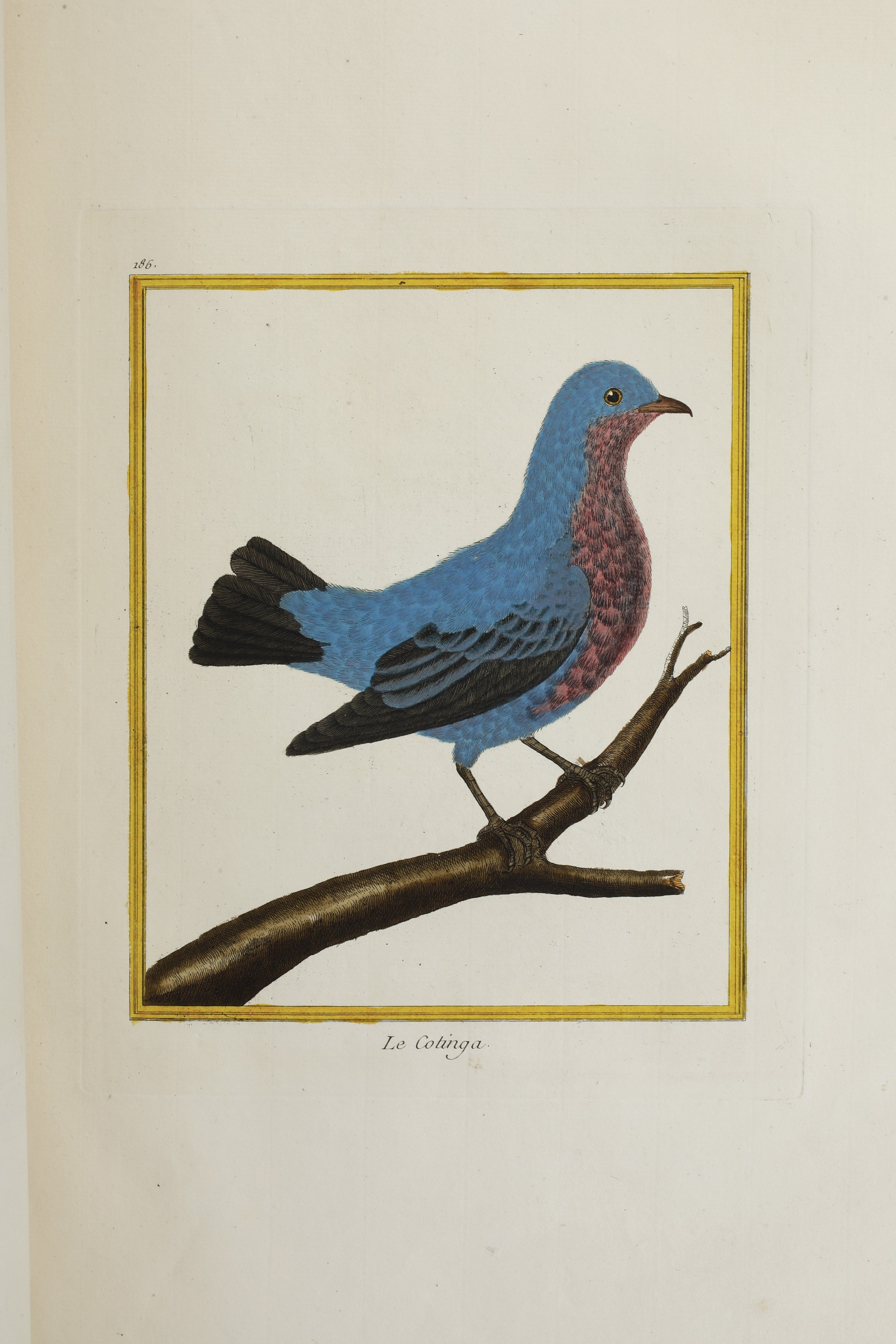 Leclerc Georges Louis Marie , Comte De Buffon (1707-1788). Histoire Naturelle Des Oiseauxparigi, ...