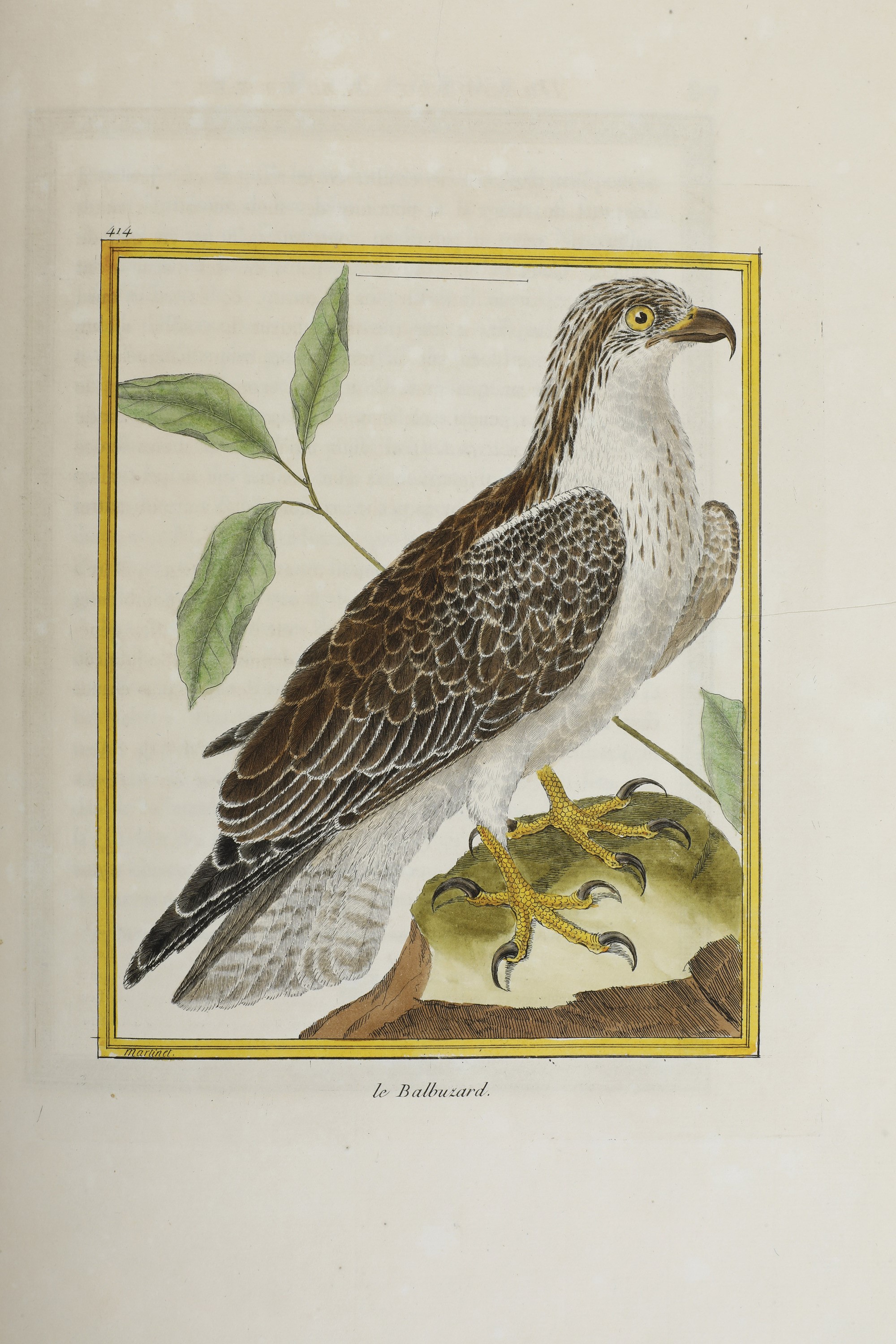 Leclerc Georges Louis Marie , Comte De Buffon (1707-1788). Histoire Naturelle Des Oiseauxparigi, ...