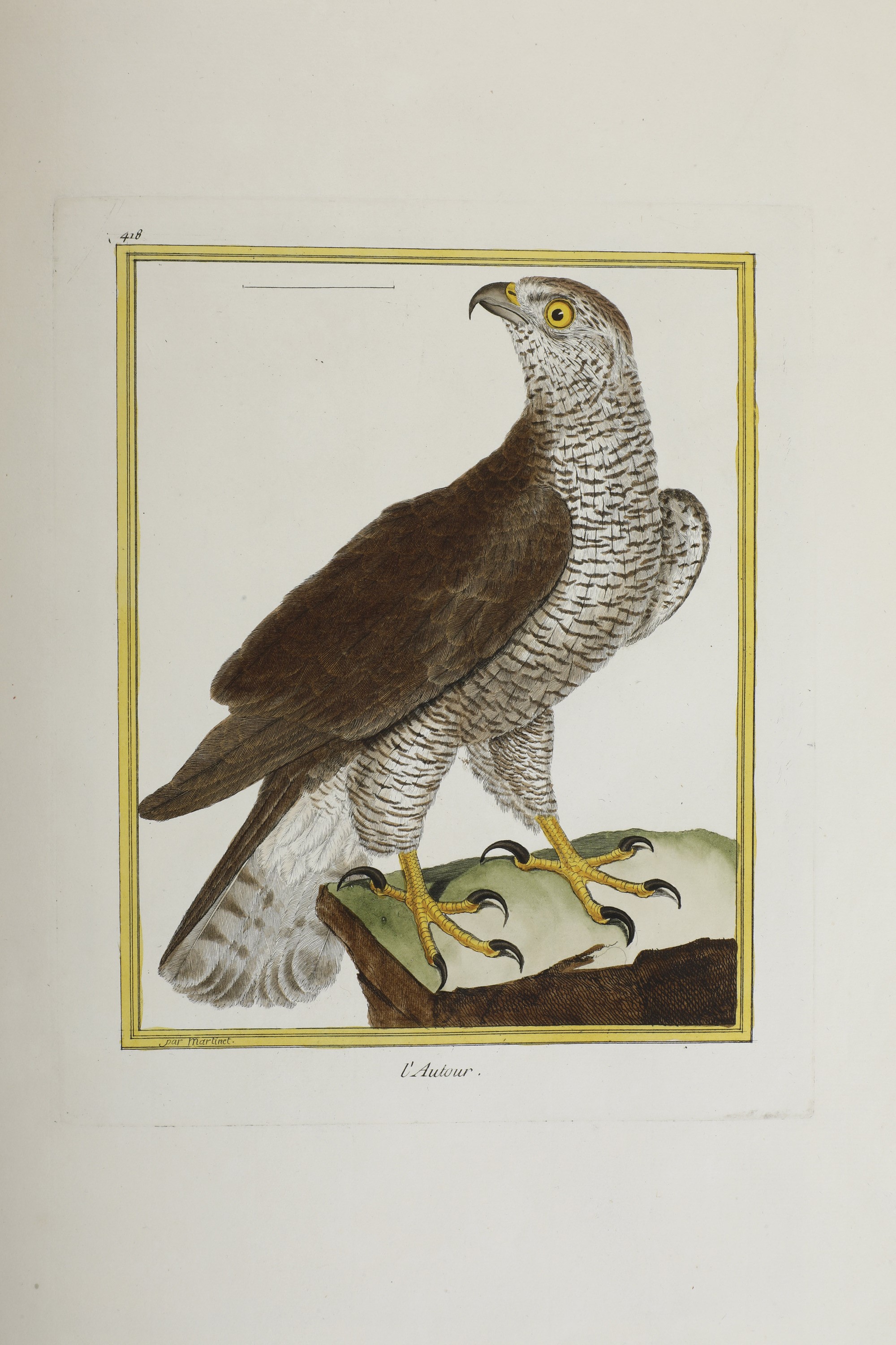 Leclerc Georges Louis Marie , Comte De Buffon (1707-1788). Histoire Naturelle Des Oiseauxparigi, ...