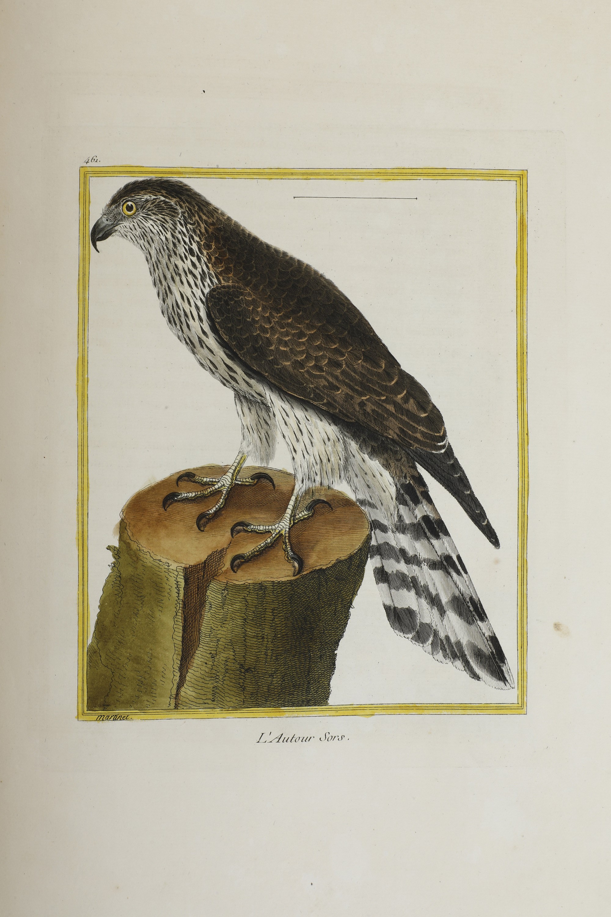 Leclerc Georges Louis Marie , Comte De Buffon (1707-1788). Histoire Naturelle Des Oiseauxparigi, ...