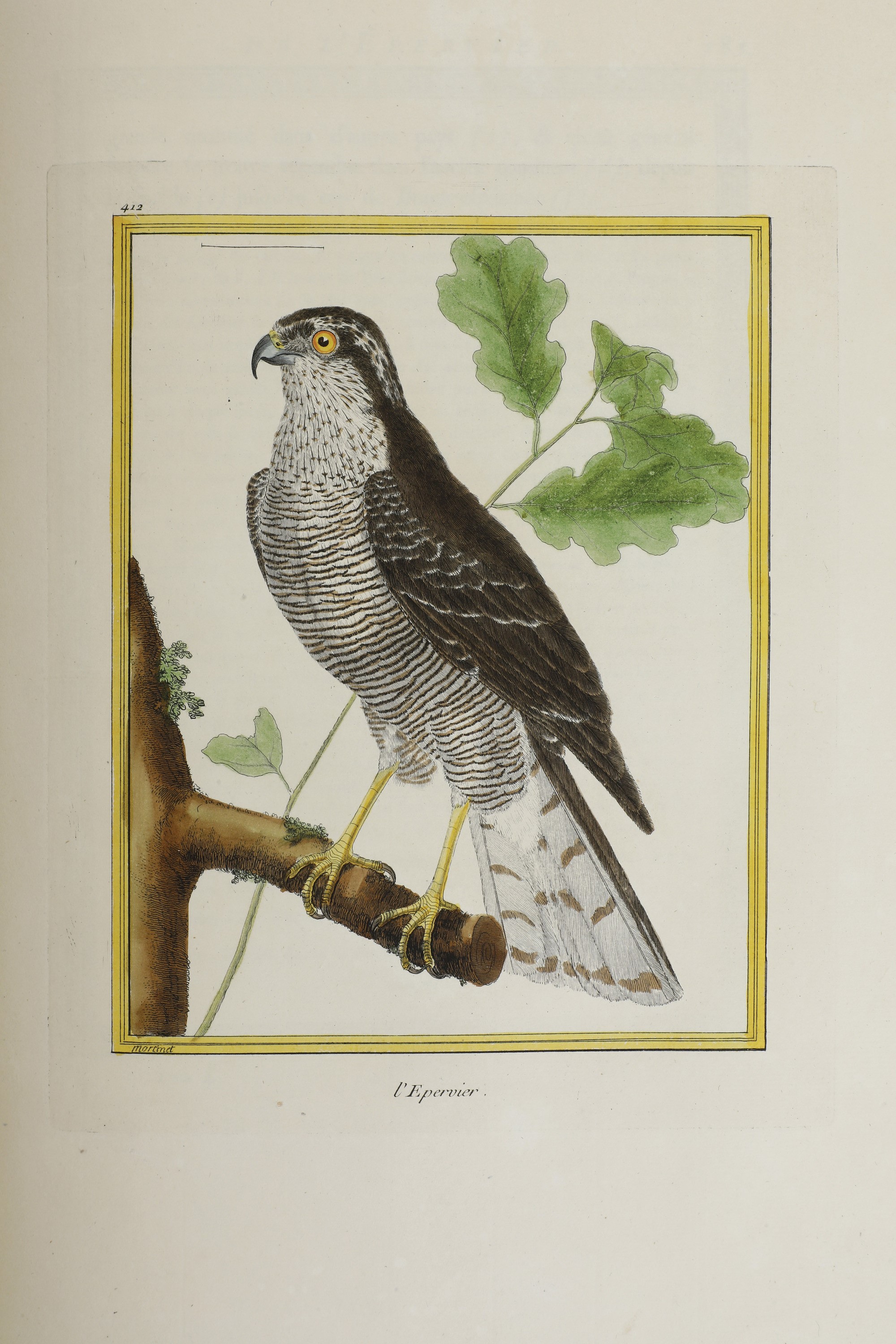 Leclerc Georges Louis Marie , Comte De Buffon (1707-1788). Histoire Naturelle Des Oiseauxparigi, ...