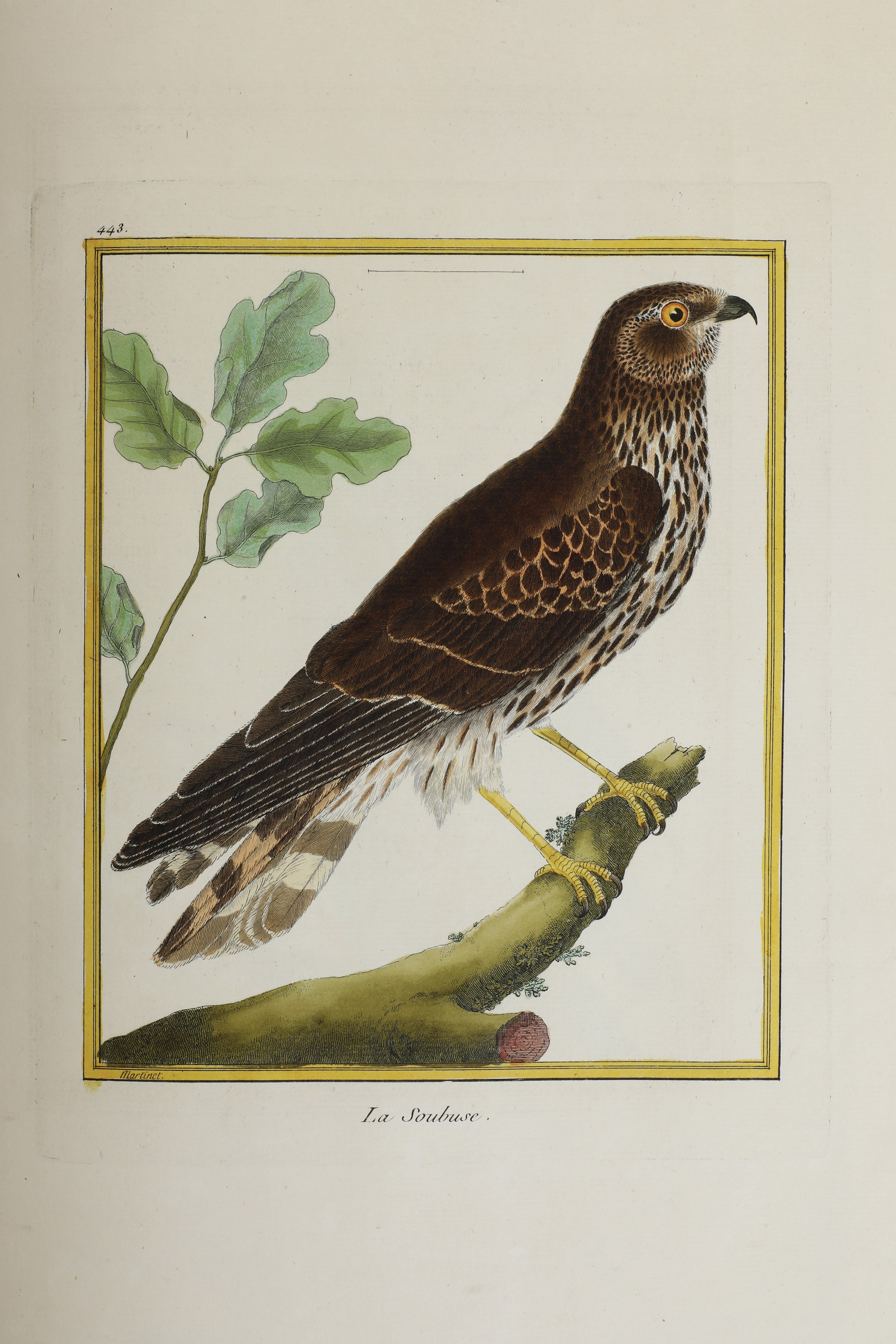 Leclerc Georges Louis Marie , Comte De Buffon (1707-1788). Histoire Naturelle Des Oiseauxparigi, ...