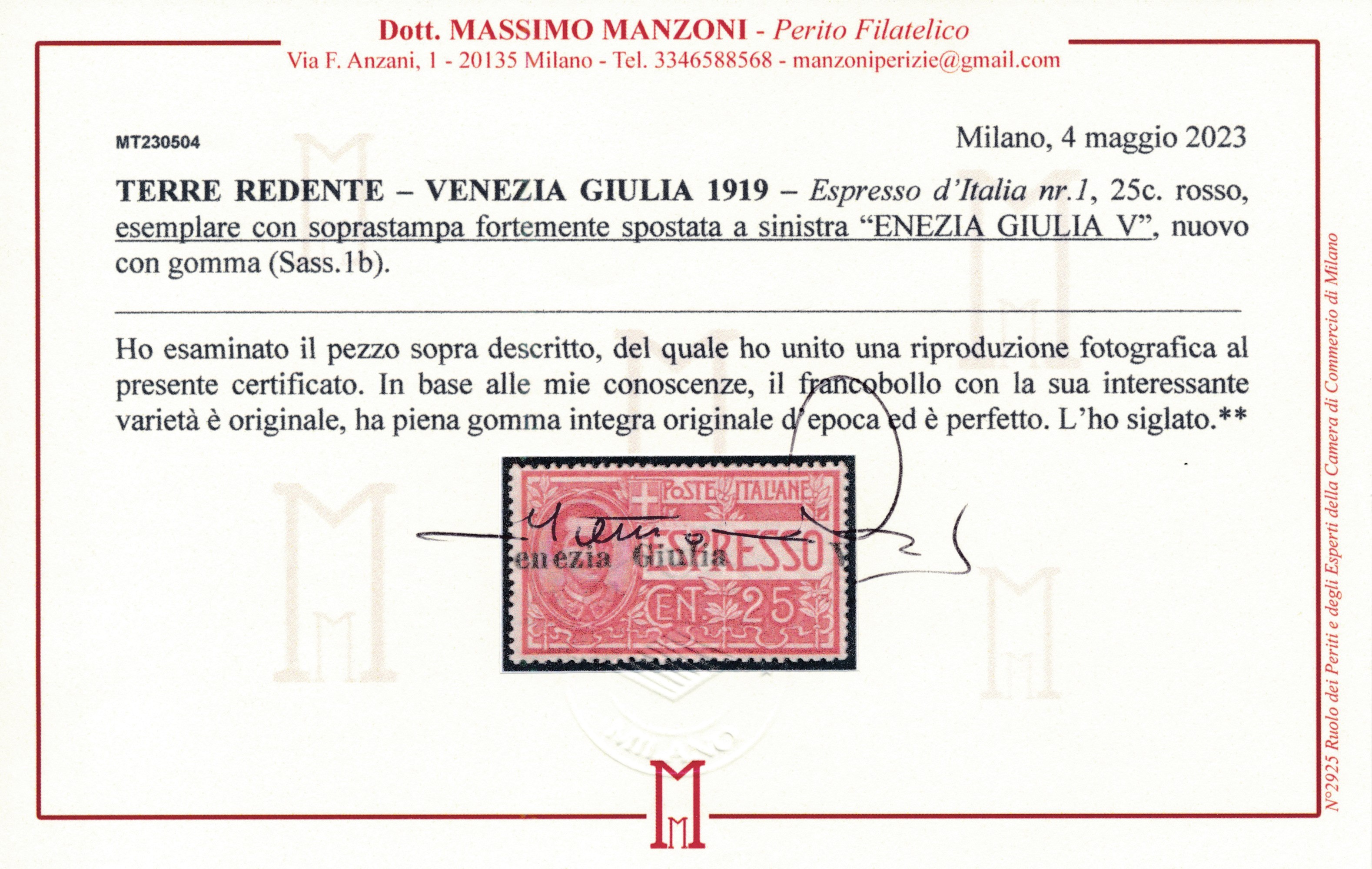 1919 – Regno D’italia – Occupazioni i Guerra Mondiale – Terre Redente – Venezia Giulia – Espresso...