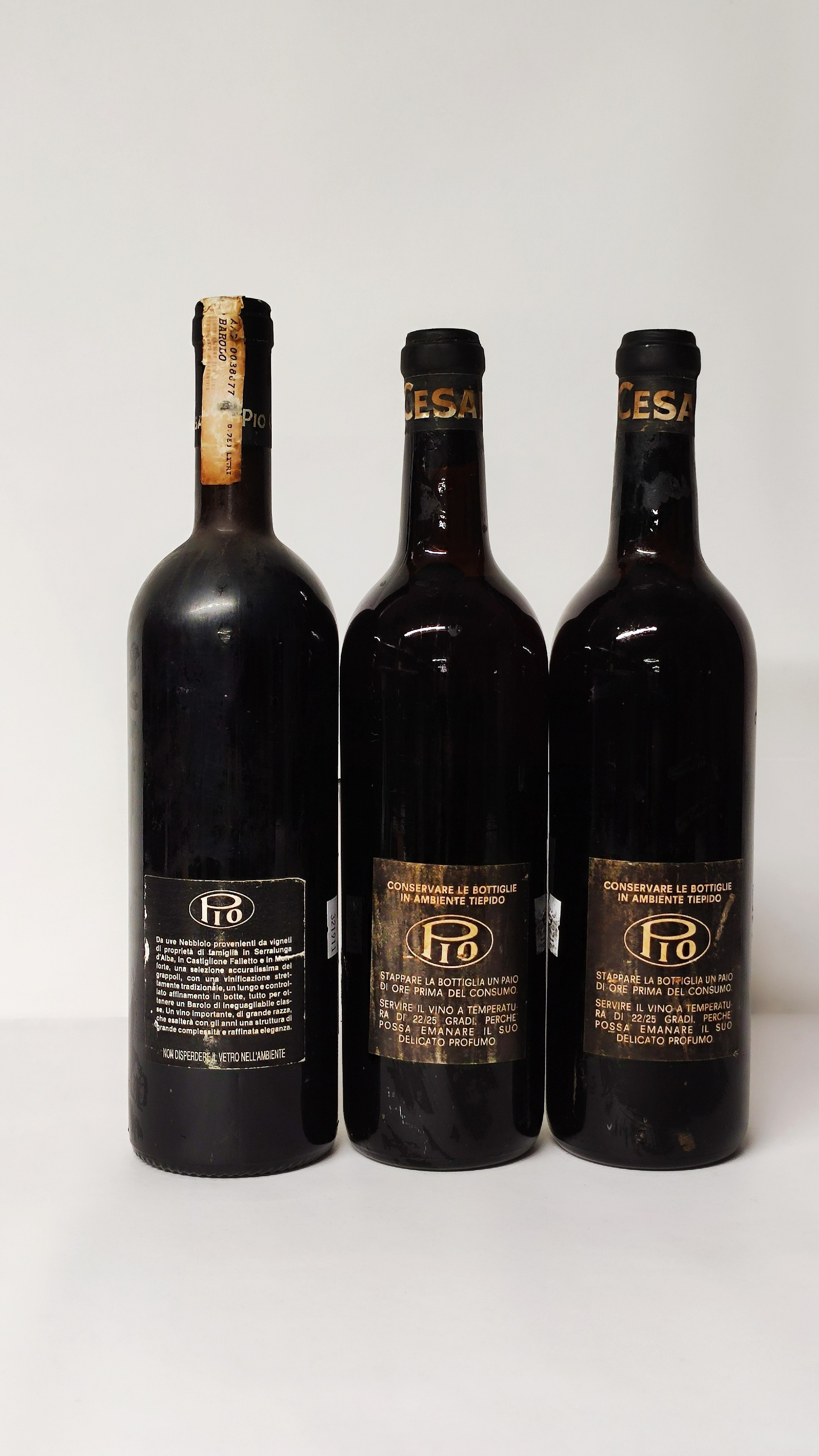 Pio Cesare, Barolo & Barbaresco