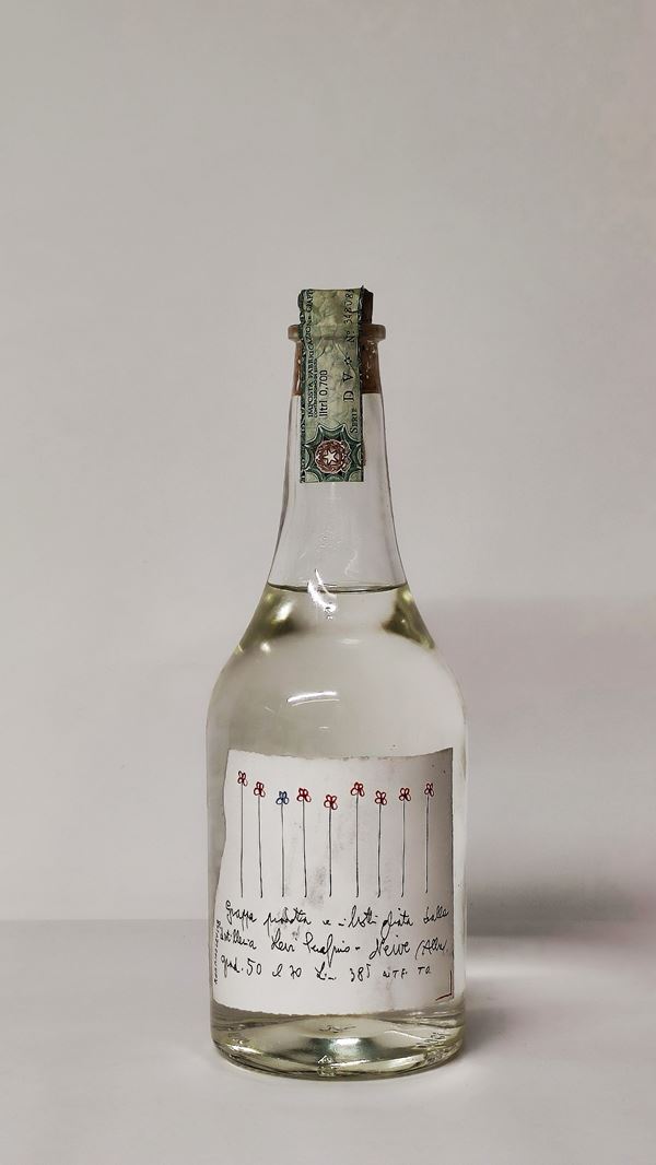Levi Serafino 1998, Grappa