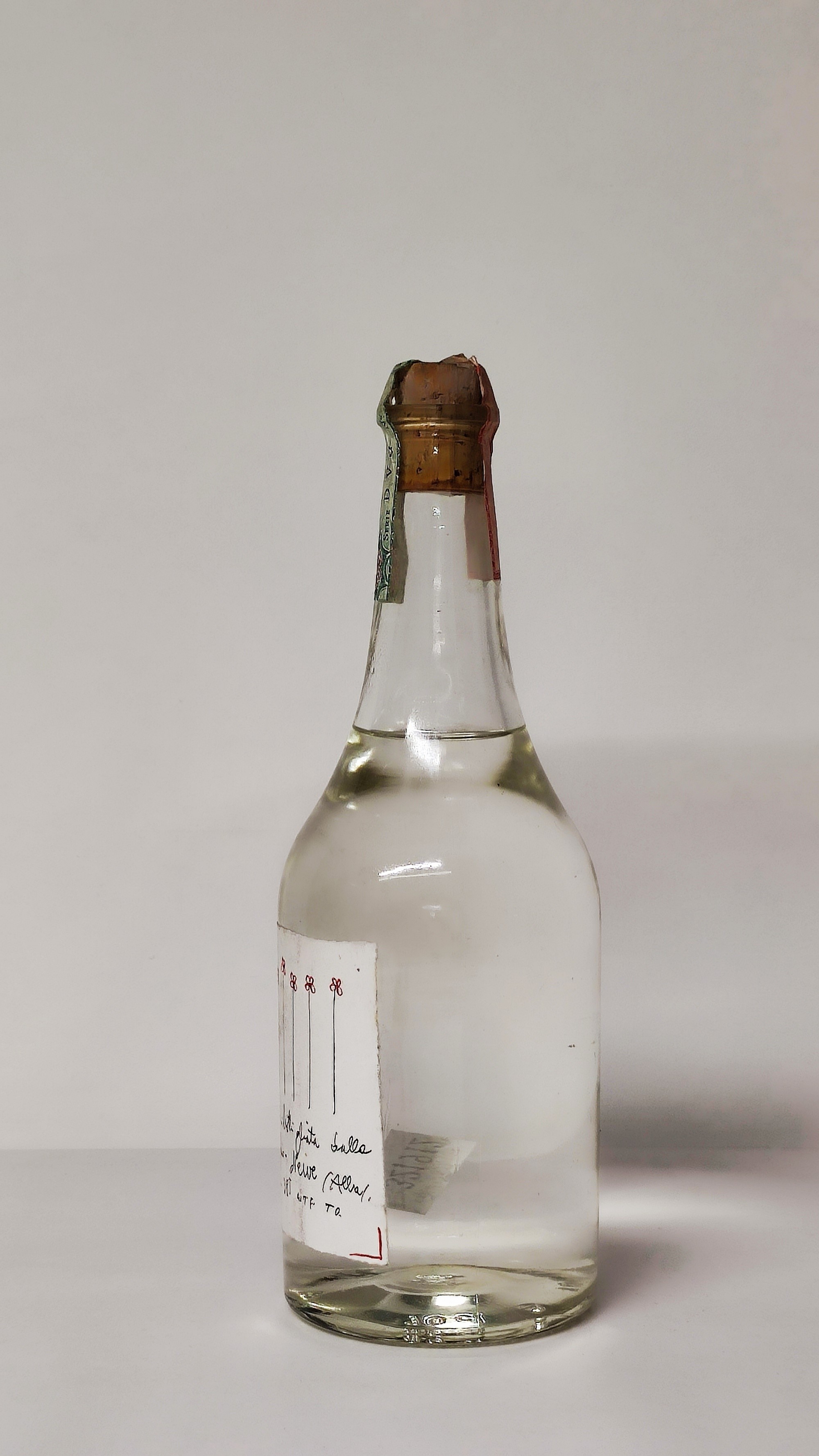 Levi Serafino 1998, Grappa