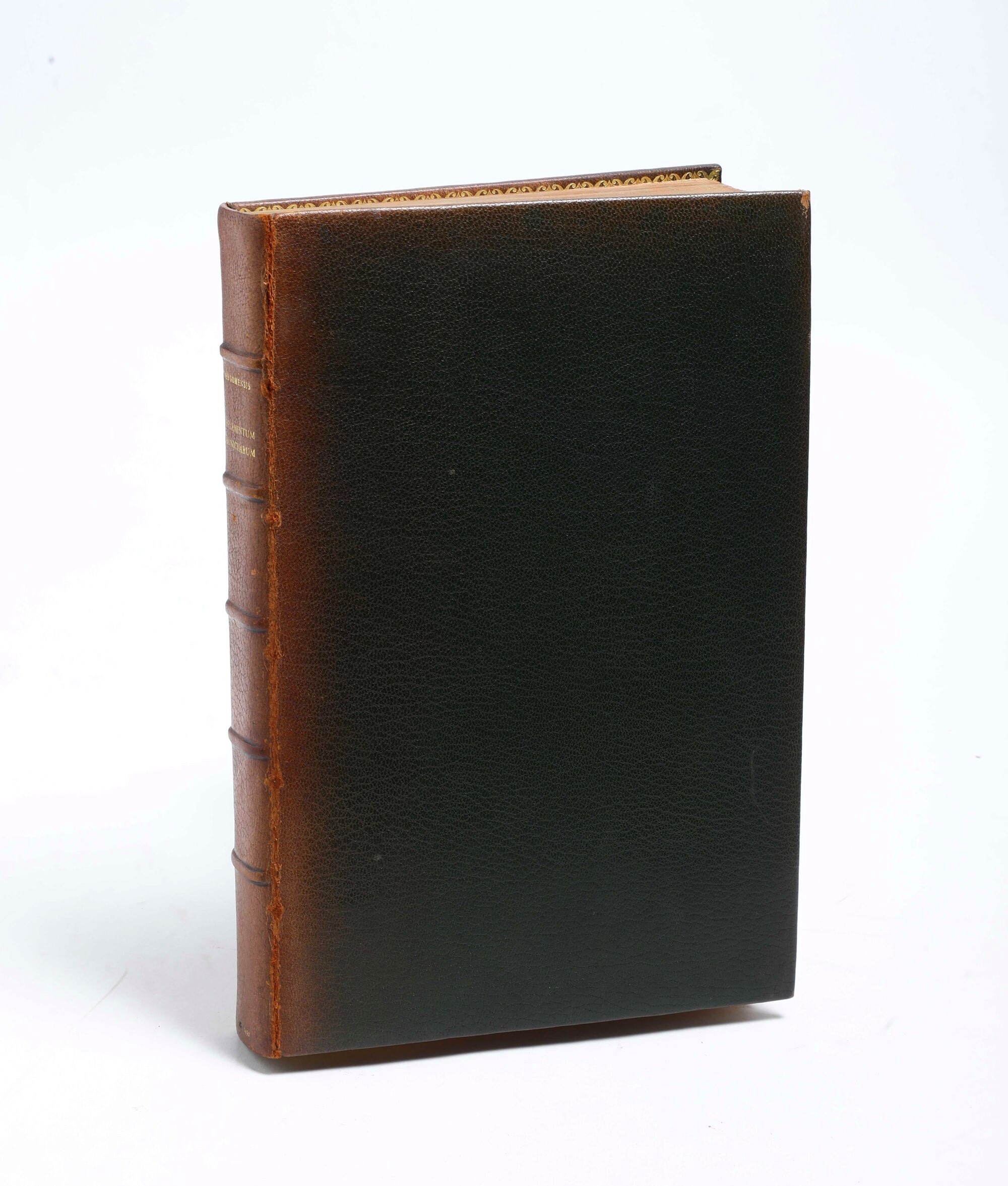 Bergomensis Jacobus Philippus (1434 - 1520) Supplementum Chronicarum Venezia, Bernardinus Ricium ...