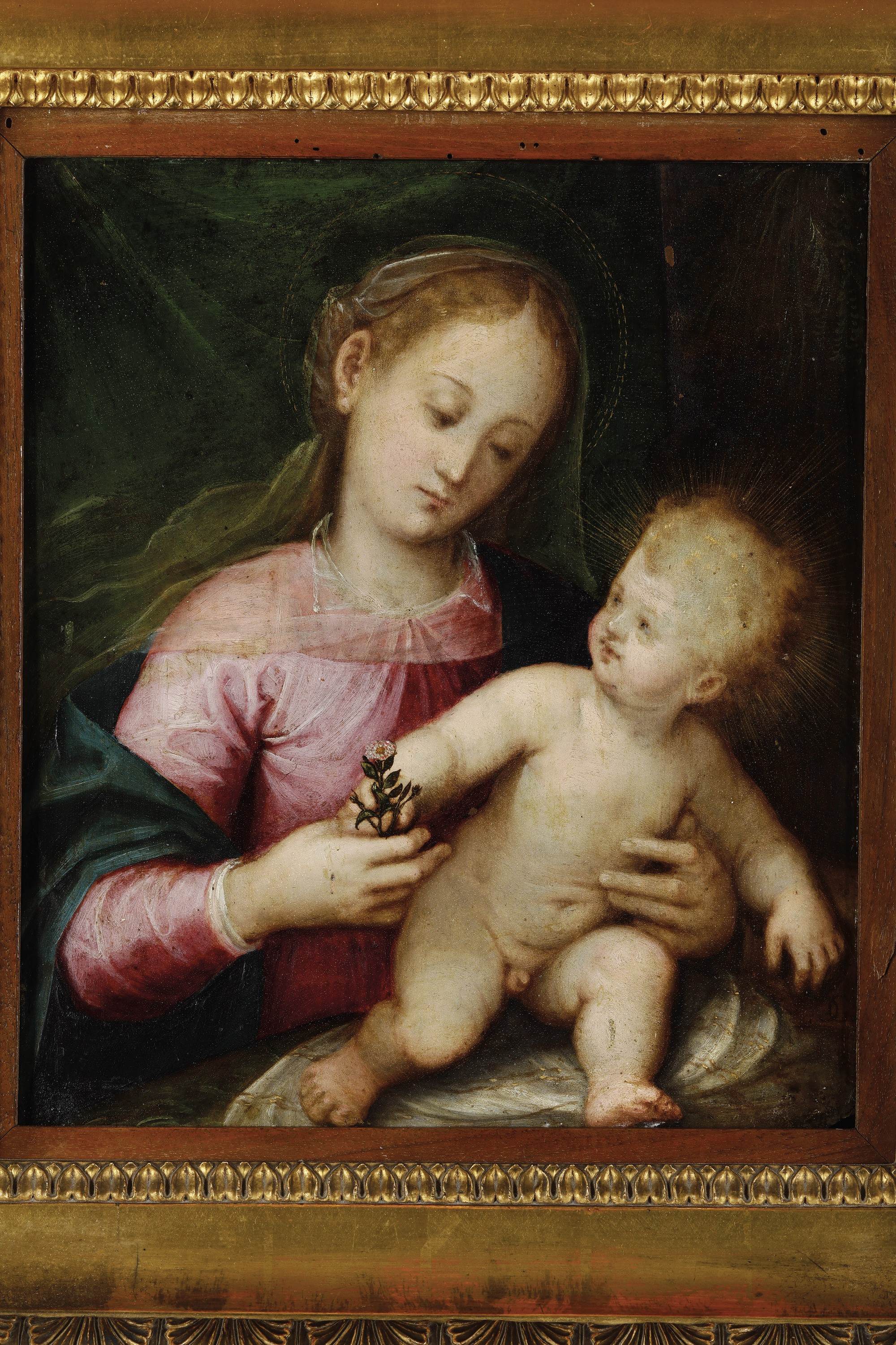 Guglielmo Caccia Detto il Moncalvo - Madonna con Bambino