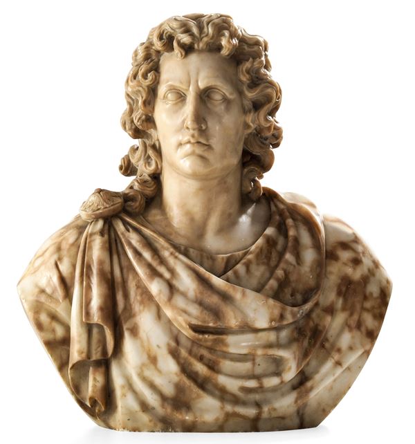 Arte tardo barocca del XVIII secolo Busto virile togato, Alessandro Magno (?)