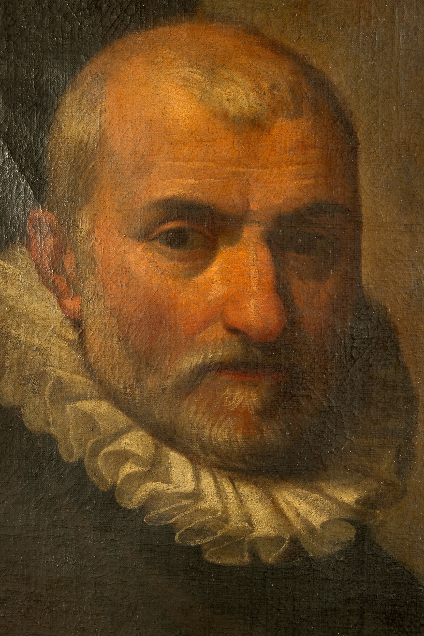 Scuola Lombarda del XVI Secolo Ritratto di Gentiluomo