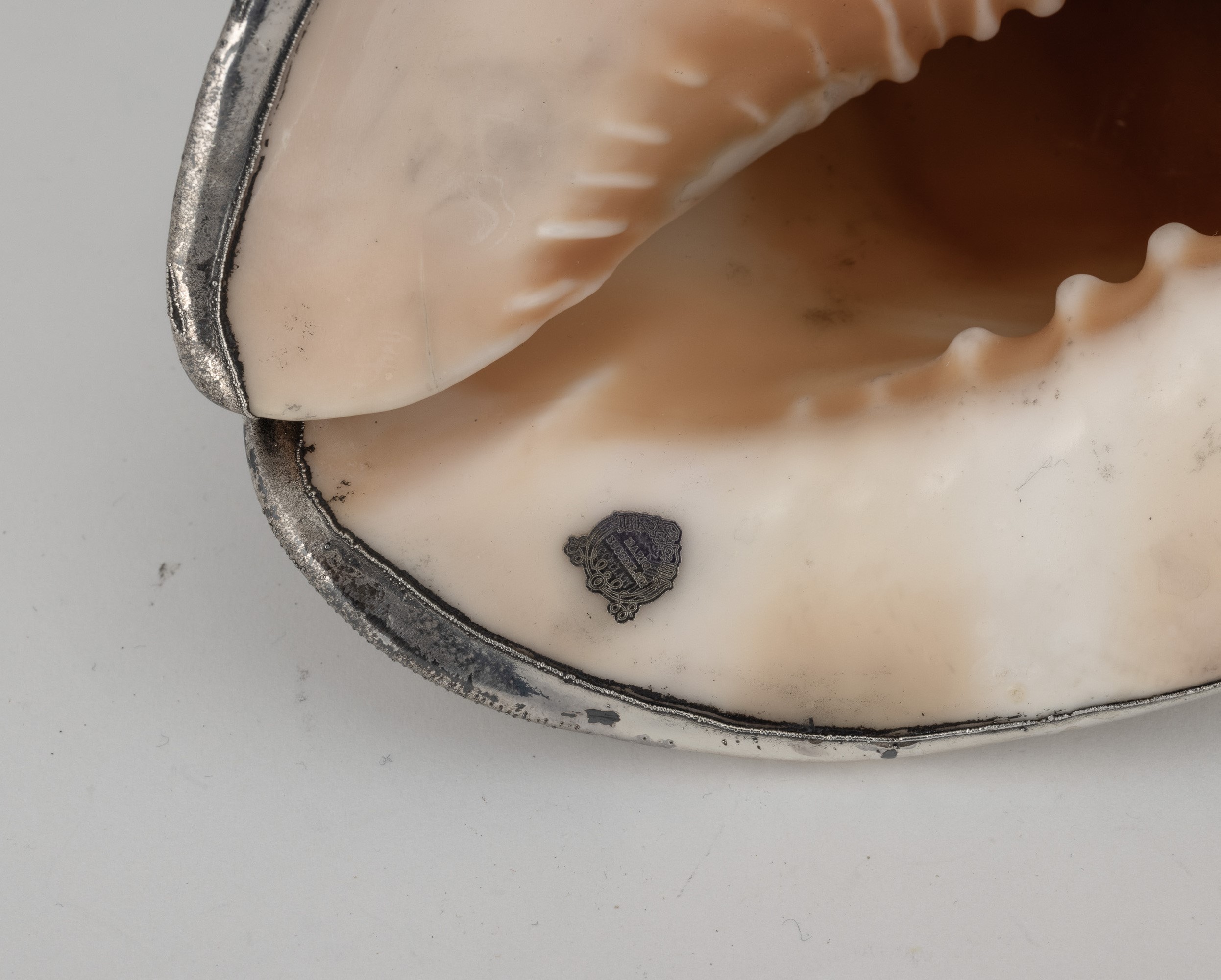 Mario Buccellati, Grande conchiglia rivestita in argento con etichetta a scudo