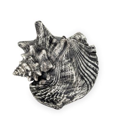 Mario Buccellati, Grande conchiglia rivestita in argento con etichetta a scudo (Italia, XX-XXI se...