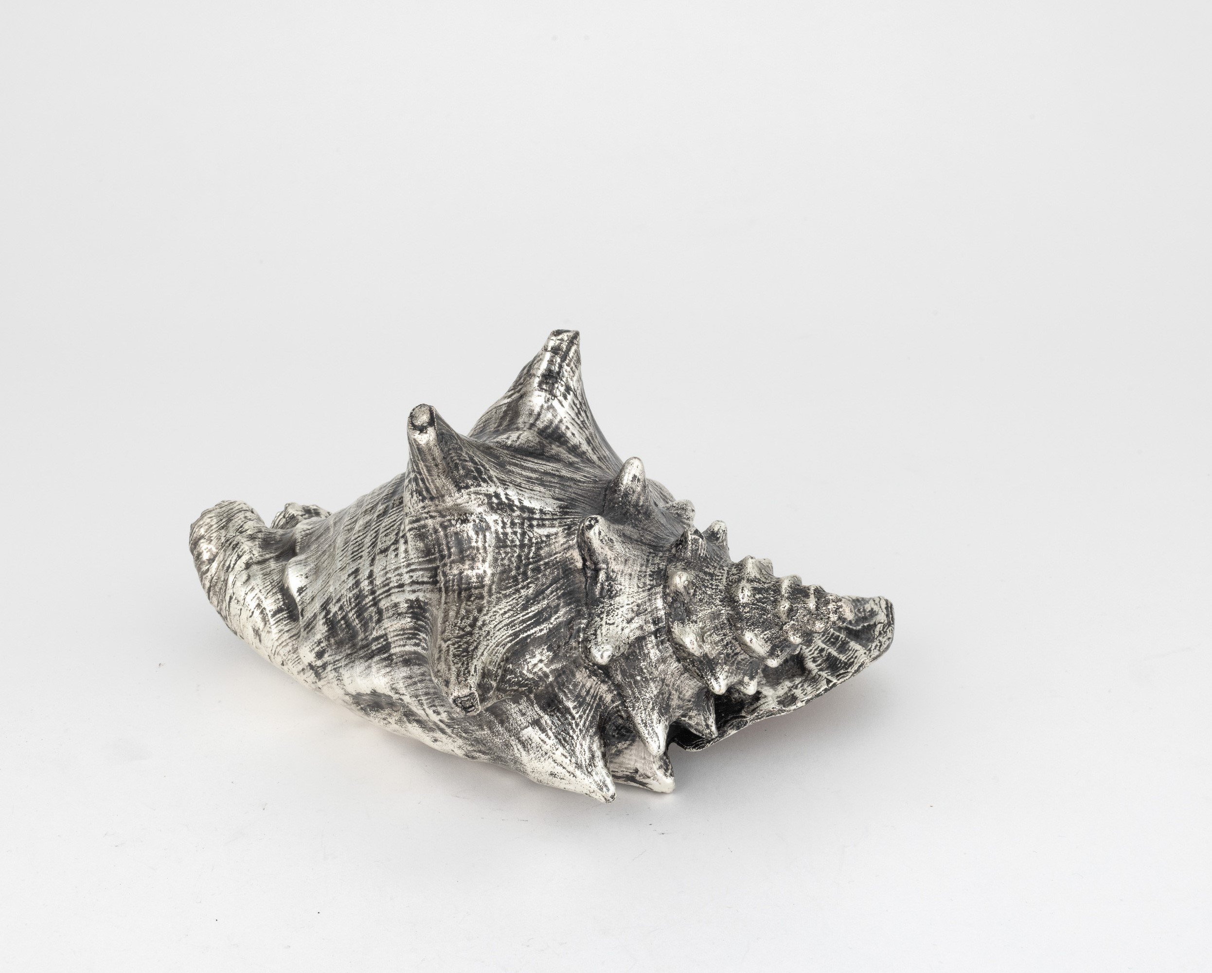 Mario Buccellati, Grande conchiglia rivestita in argento con etichetta a scudo (Italia, XX-XXI se...