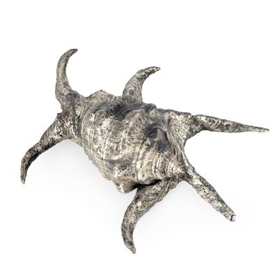 Mario Buccellati (etichetta), Conchiglia rivestita in argento, Italia, XX-XXI secolo