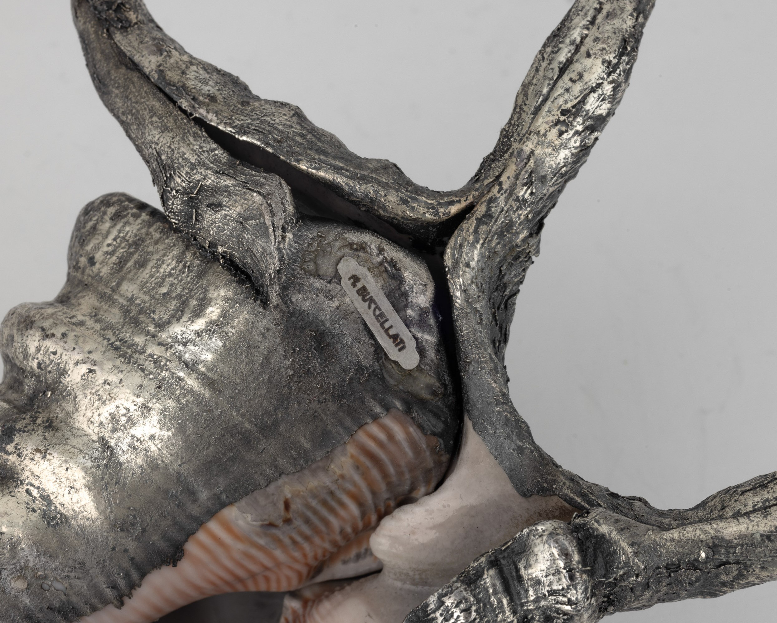 Mario Buccellati (etichetta), Conchiglia rivestita in argento, Italia, XX-XXI secolo