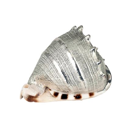 Mario Buccellati, Conchiglia rivestita in argento con etichetta a scudo, Italia XX-XXI secolo