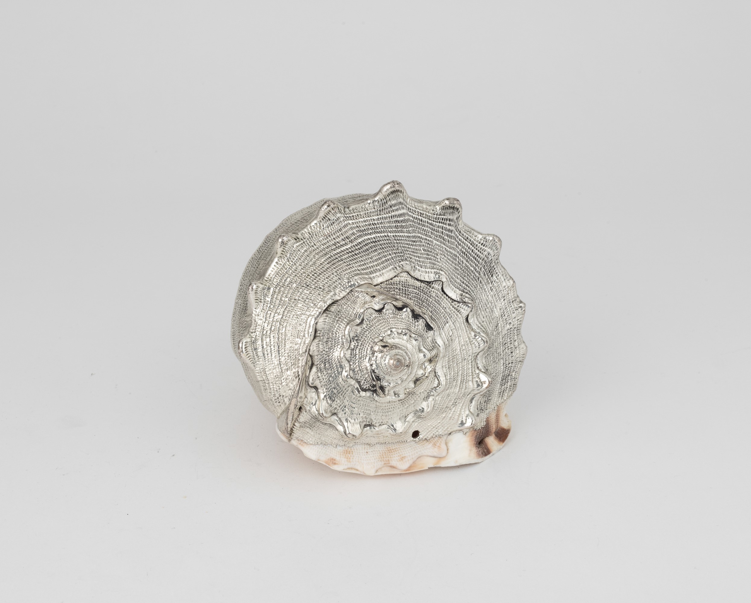 Mario Buccellati, Conchiglia rivestita in argento con etichetta a scudo, Italia XX-XXI secolo