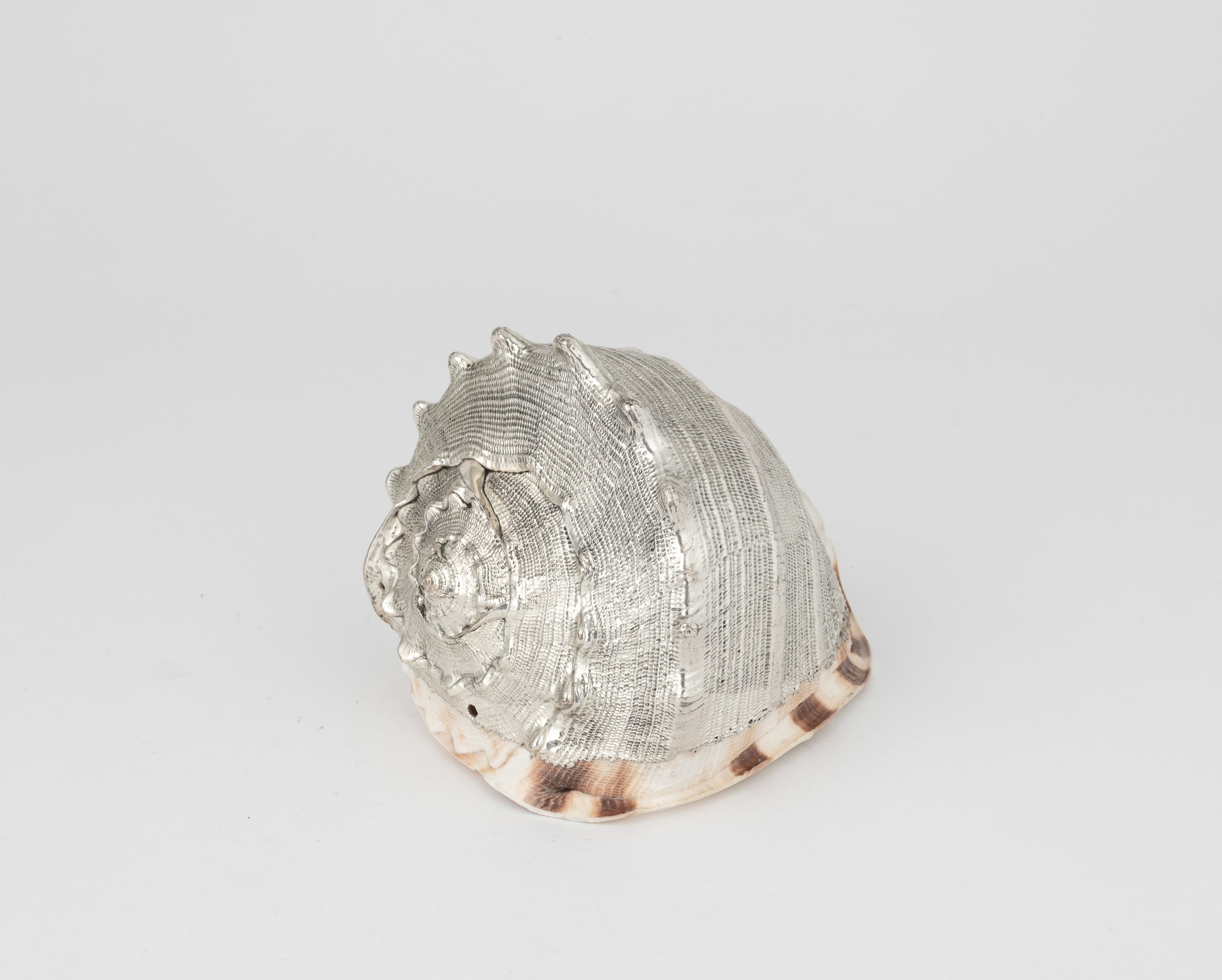 Mario Buccellati, Conchiglia rivestita in argento con etichetta a scudo, Italia XX-XXI secolo