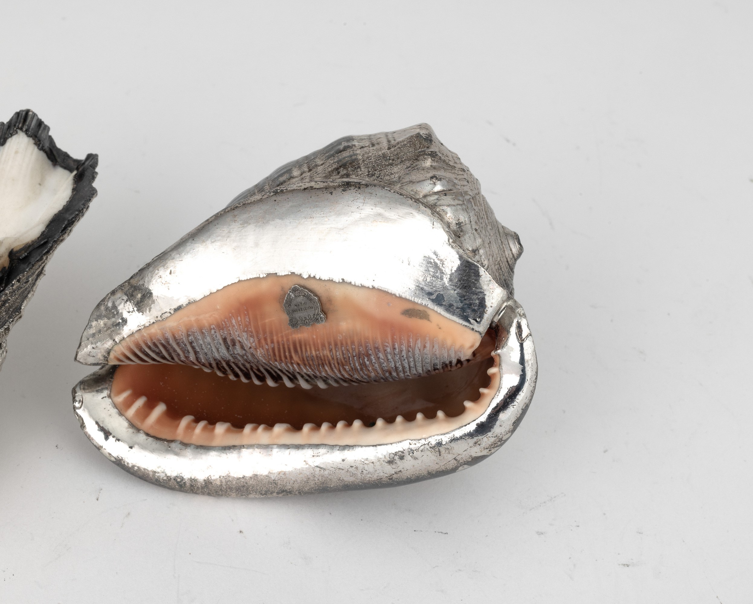Mario Buccellati (etichetta a scudo), Coppia di conchiglie rivestite in argento, Italia, XX-XXI s...