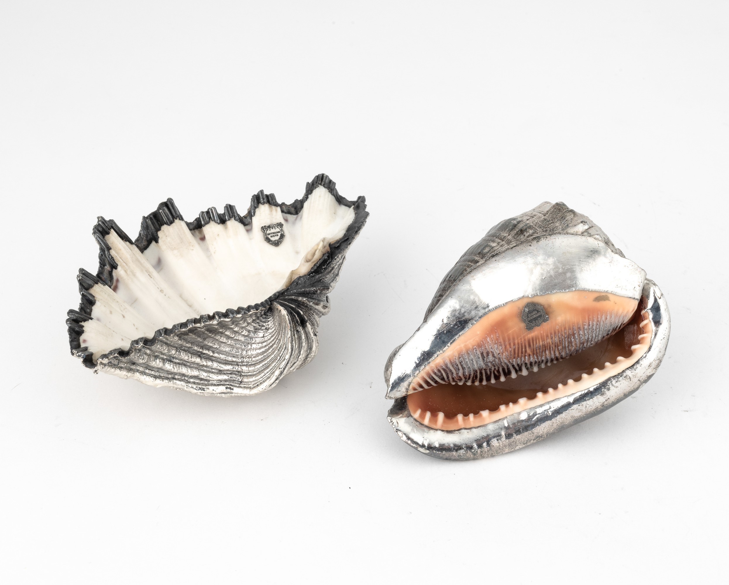 Mario Buccellati (etichetta a scudo), Coppia di conchiglie rivestite in argento, Italia, XX-XXI s...