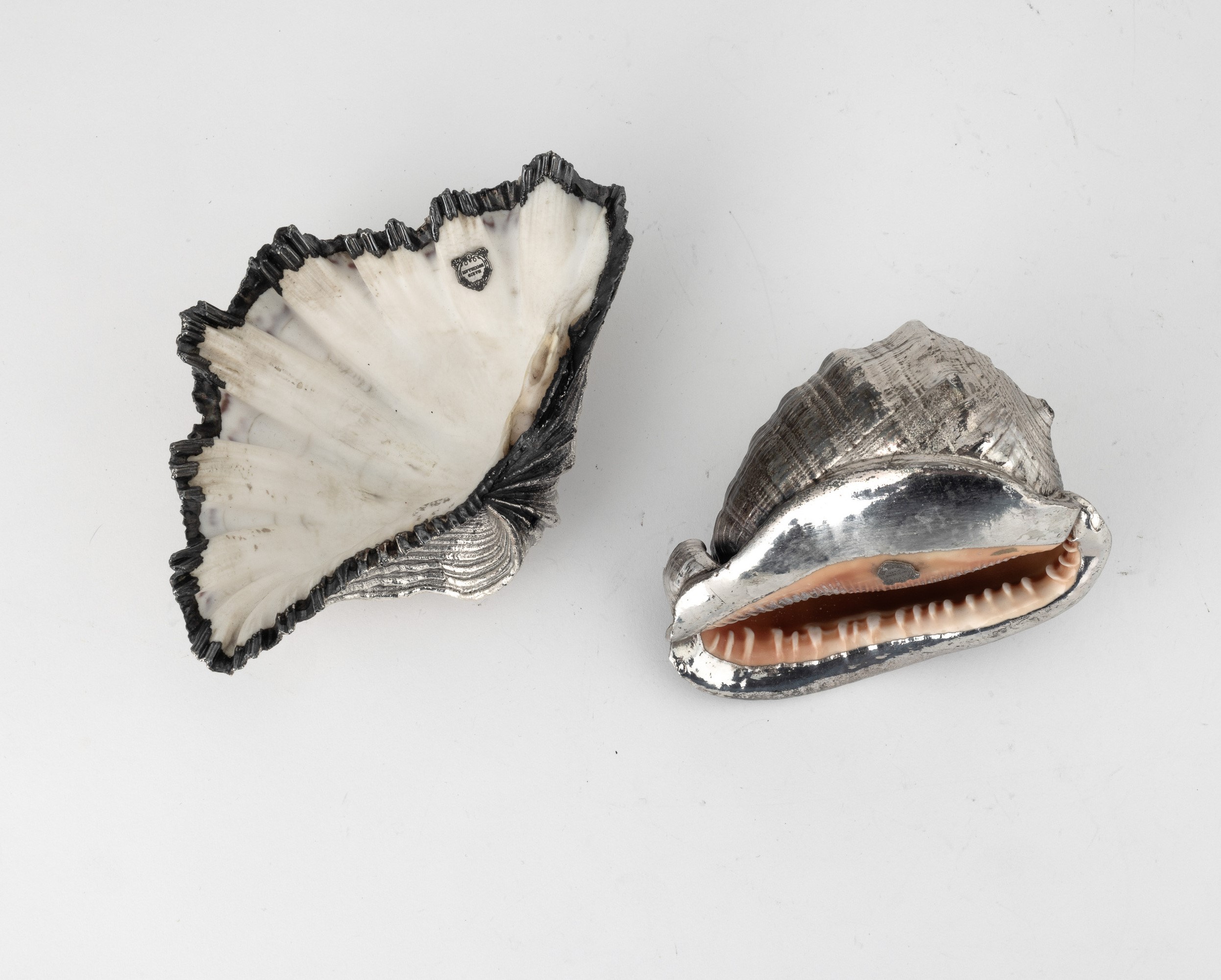 Mario Buccellati (etichetta a scudo), Coppia di conchiglie rivestite in argento, Italia, XX-XXI s...