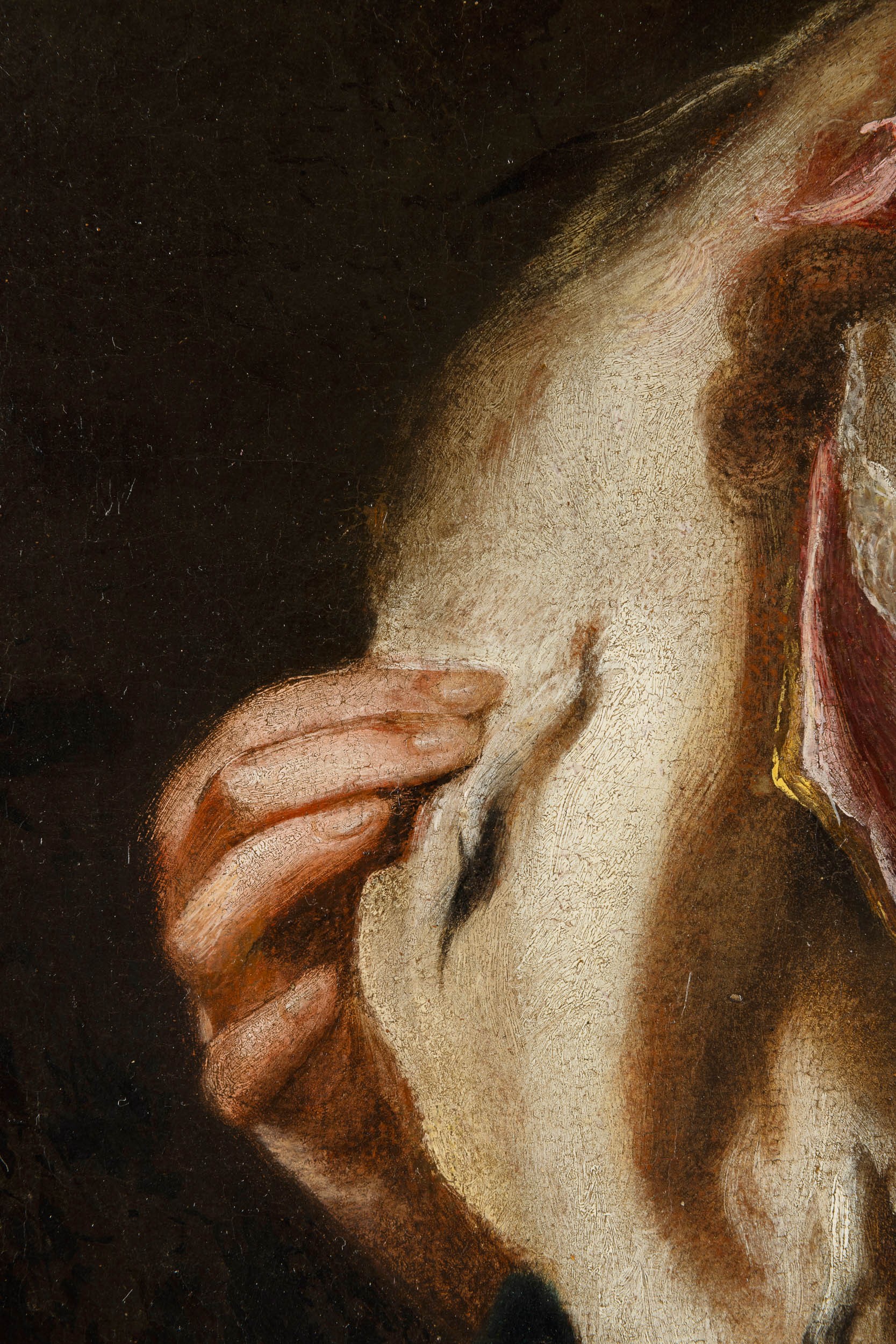 Alessandro Longhi - Ritratto di Gentildonna con Stola in Ermellino