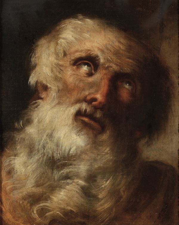 Scuola del XVIII secolo Testa di vecchio