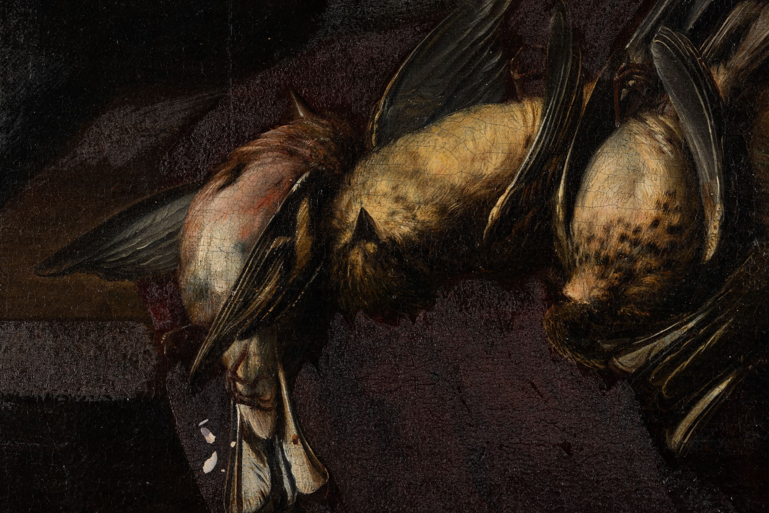 Wallerant Vaillant - Natura Morta con Cacciagione