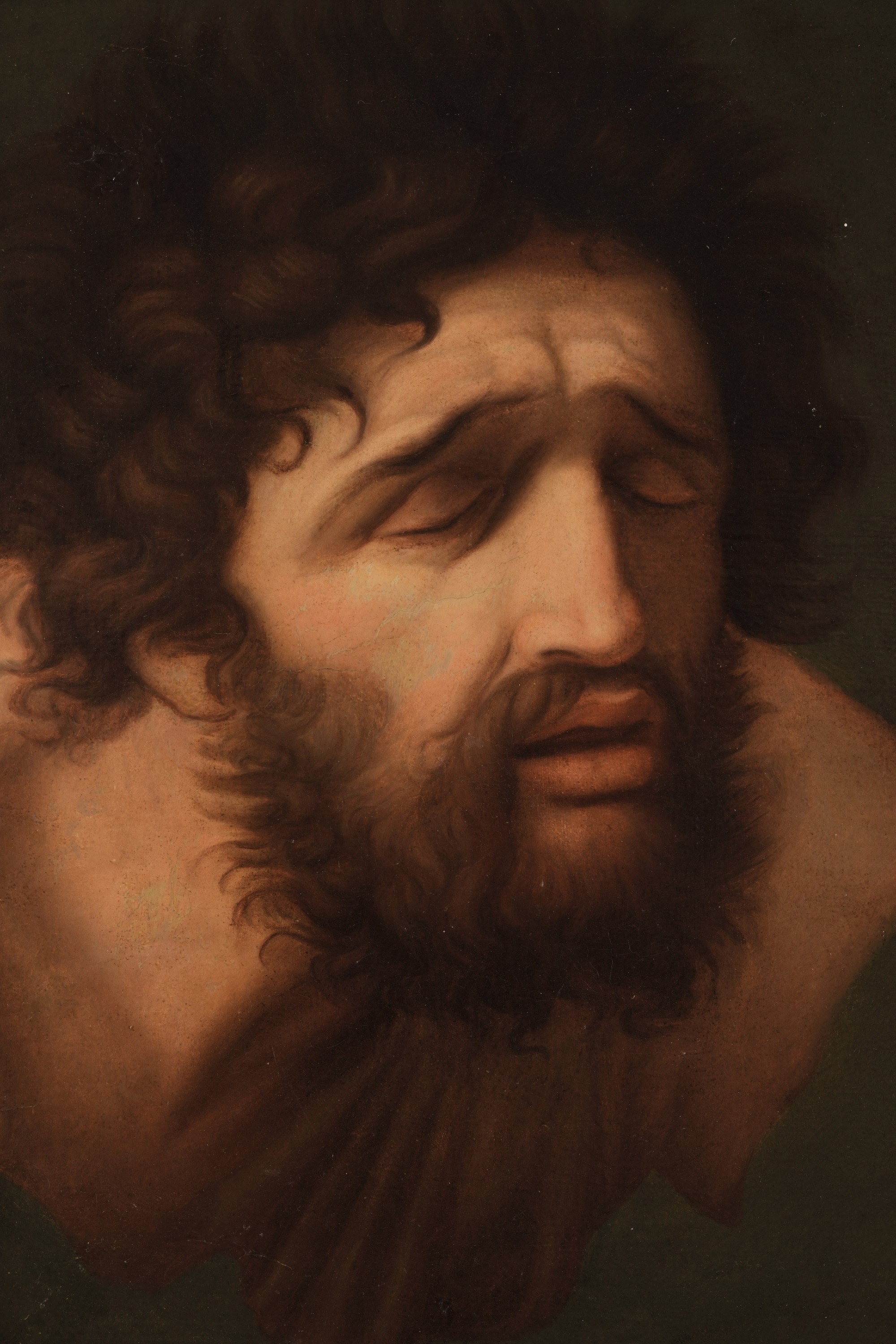 Scuola del XVIII secolo, Volto virile