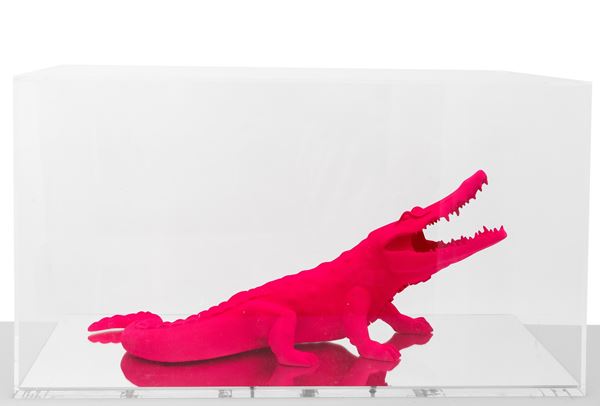 Born wild pigment - pink