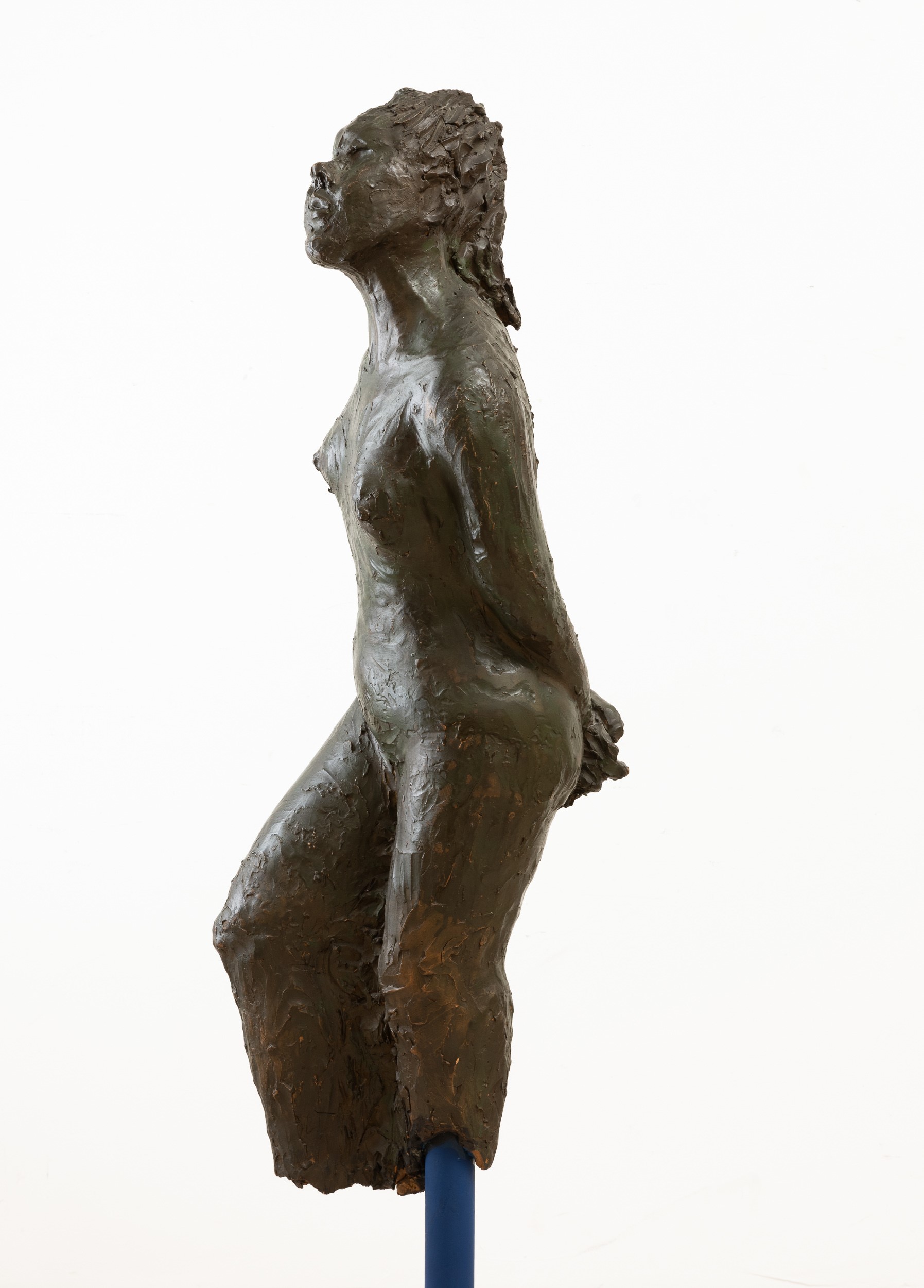 Giuliana Geronazzo - Venere (scultura, 1987, altezza 55 cm)