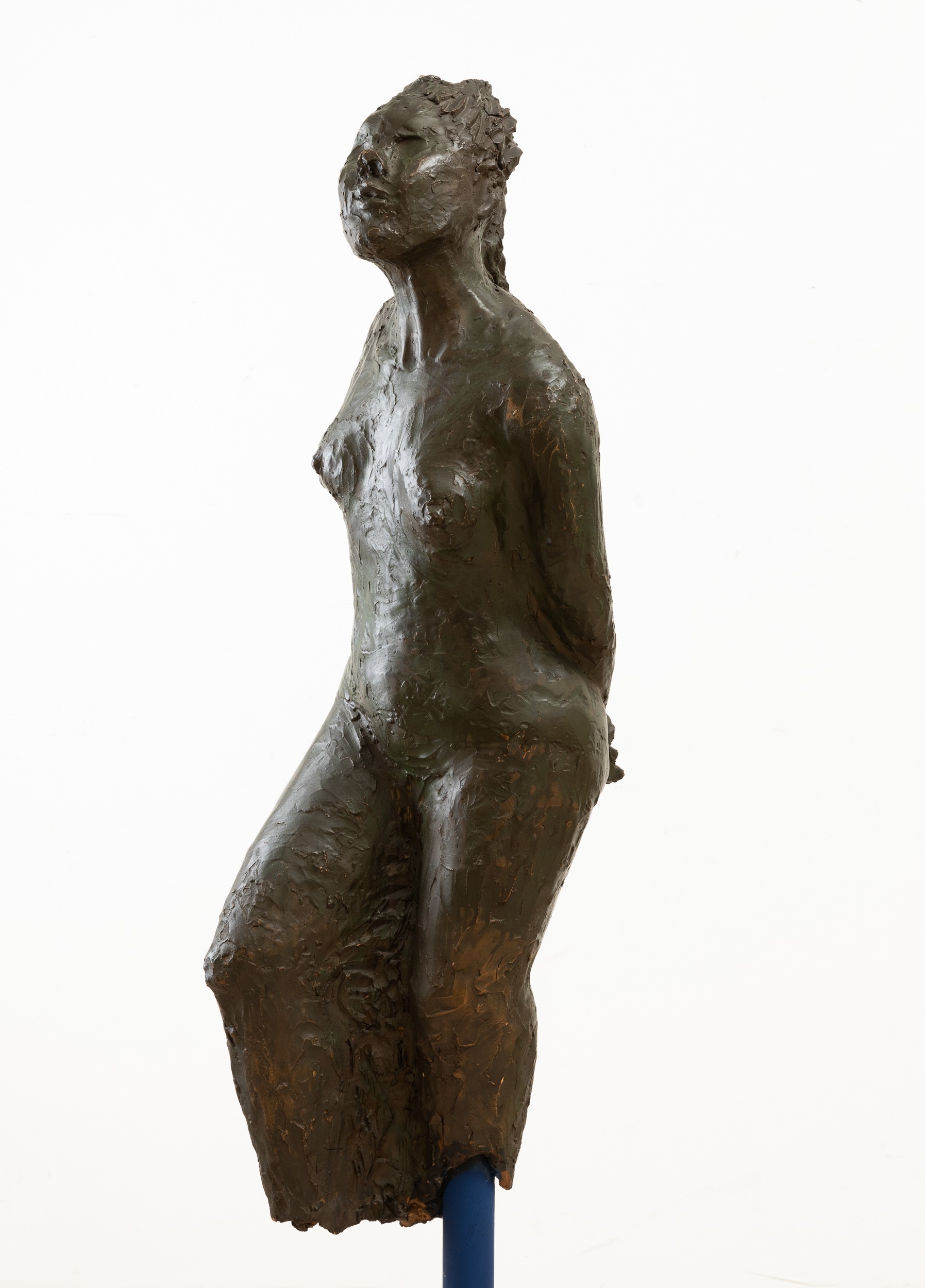 Giuliana Geronazzo - Venere (scultura, 1987, altezza 55 cm)