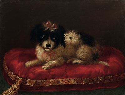 Ritratto di Cagnolino