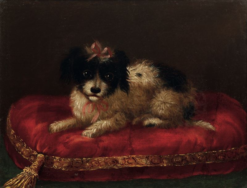 Giacomo Ceruti detto il Pitocchetto : Ritratto di cagnolino  - olio su tela - Asta Old Masters - II - Cambi Casa d'Aste