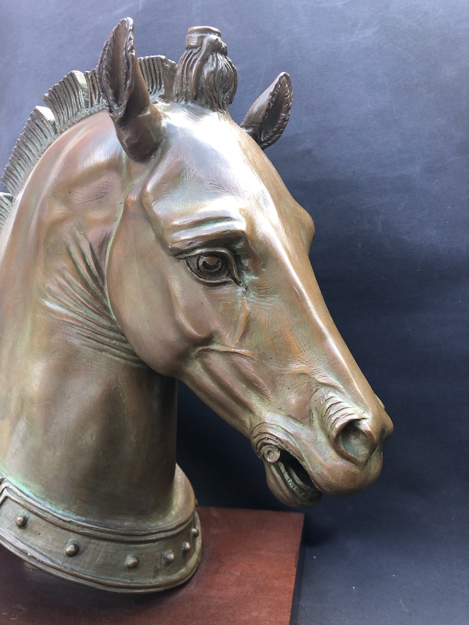 Fonditore dei Primi Decenni del XX Secolo, Grande Testa in Bronzo di uno dei Cavalli di S. Marco