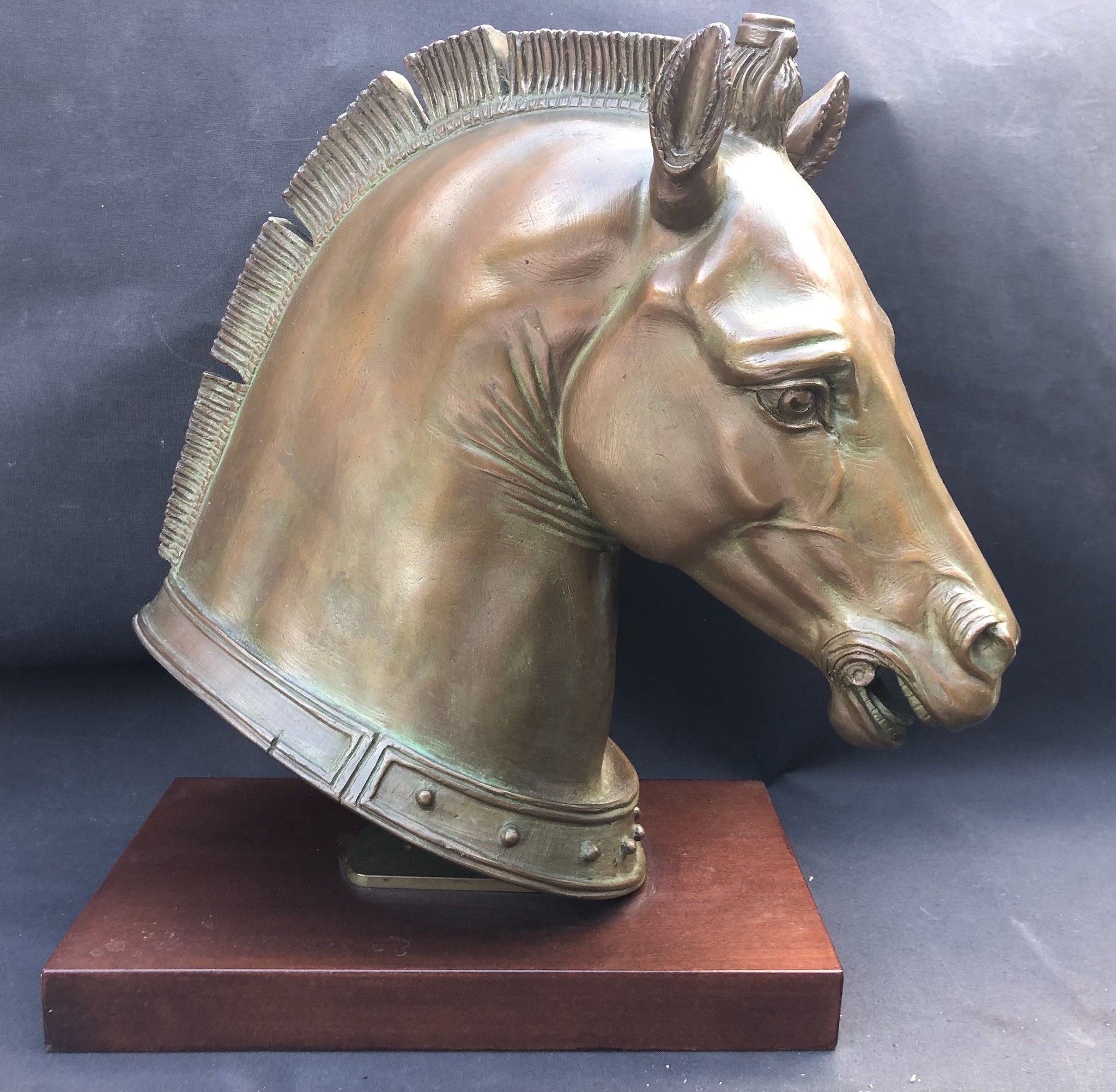 Fonditore dei Primi Decenni del XX Secolo, Grande Testa in Bronzo di uno dei Cavalli di S. Marco