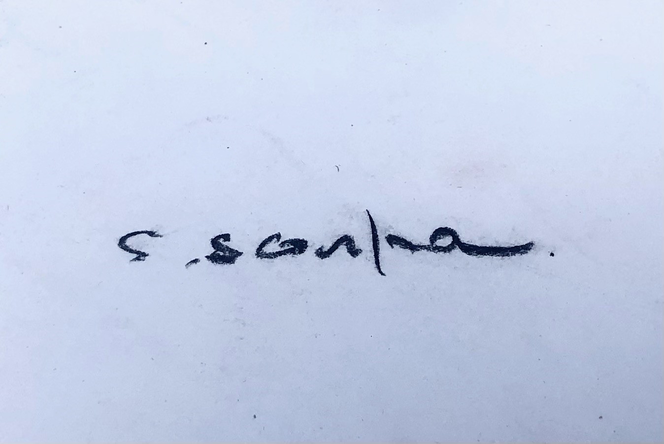 Carlo Scarpa, Studio di Nudo Visto di Schiena