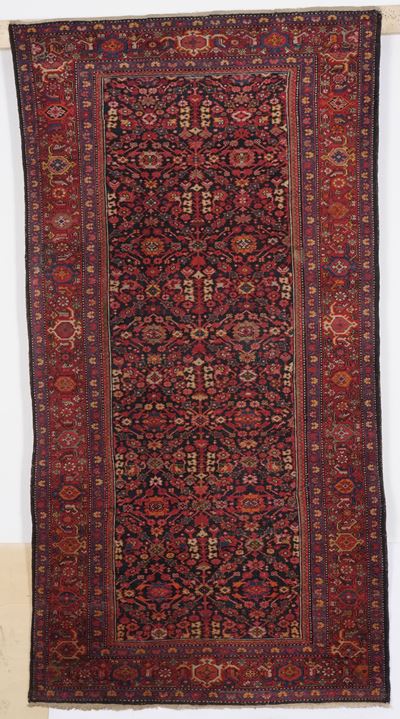 Kelley Malayer, Persia Fine XIX Secolo