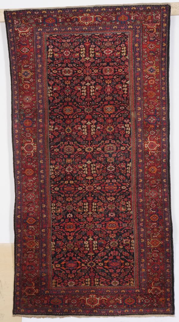 Kelley Malayer, Persia fine XIX secolo