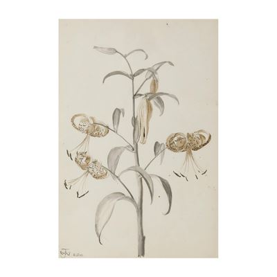 Jean Marc Winckler (1952-2019) Studio Botanico.