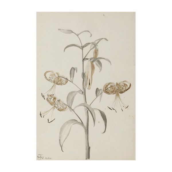 Jean Marc Winckler (1952-2019) Studio botanico.