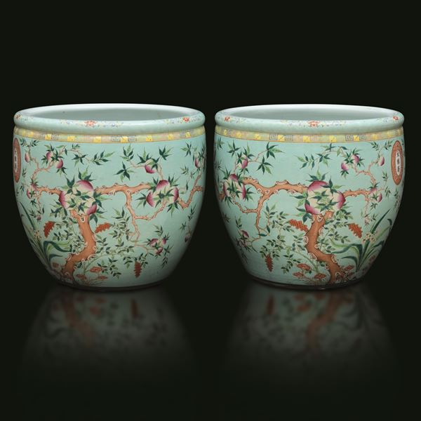 Coppia di Cachepot in porcellana policroma a fondo celeste con decorazione a rami di pesco, Cina, Dinastia  [..]