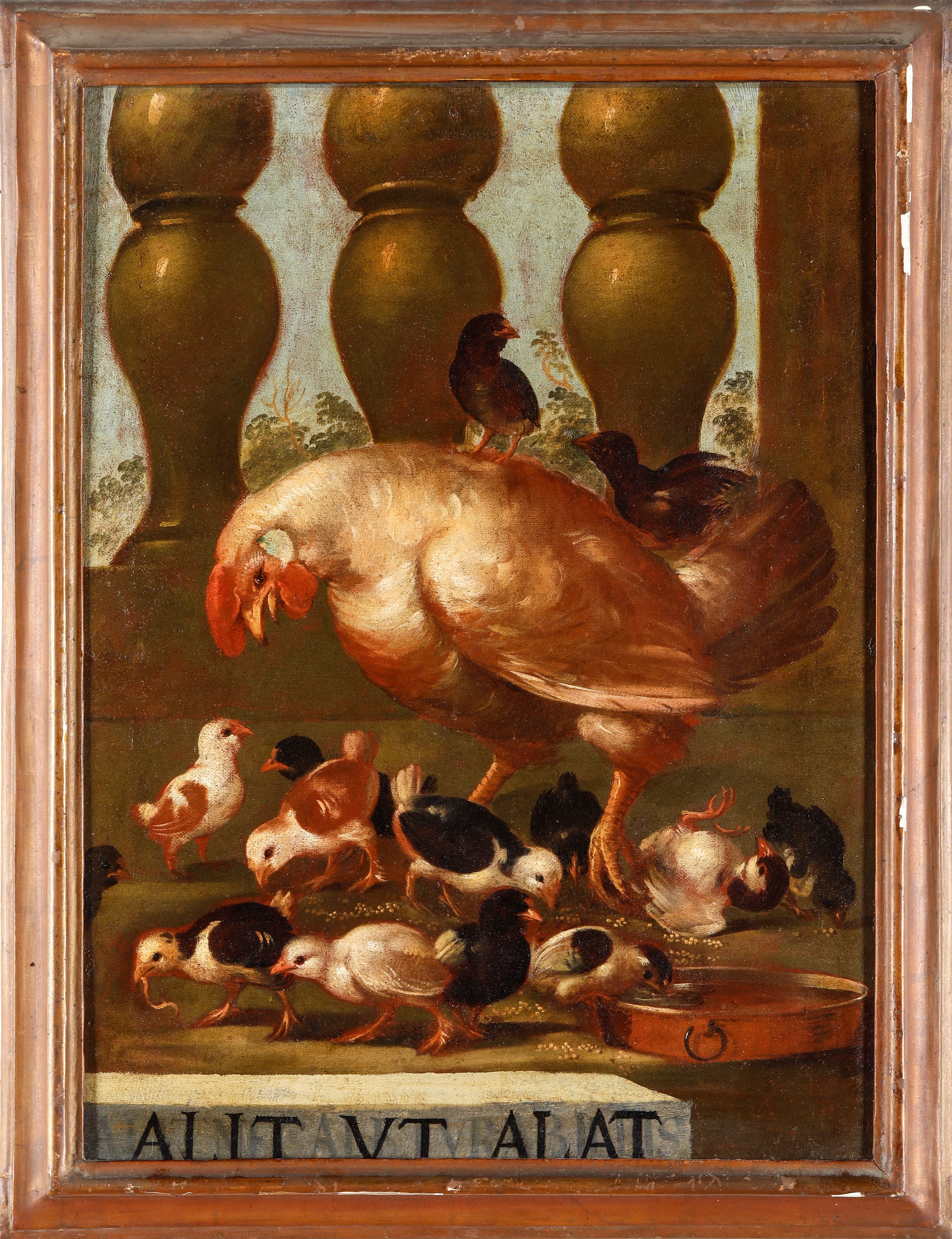 Scuola del XVIII Secolo Interni di Cucina