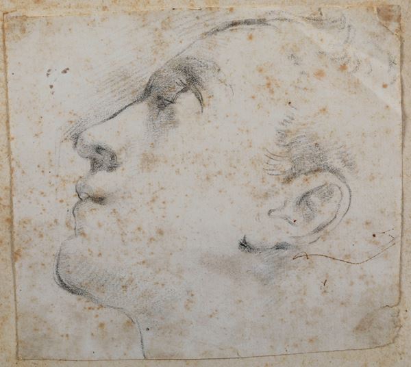 Scuola lombarda del XVII secolo Profilo maschile